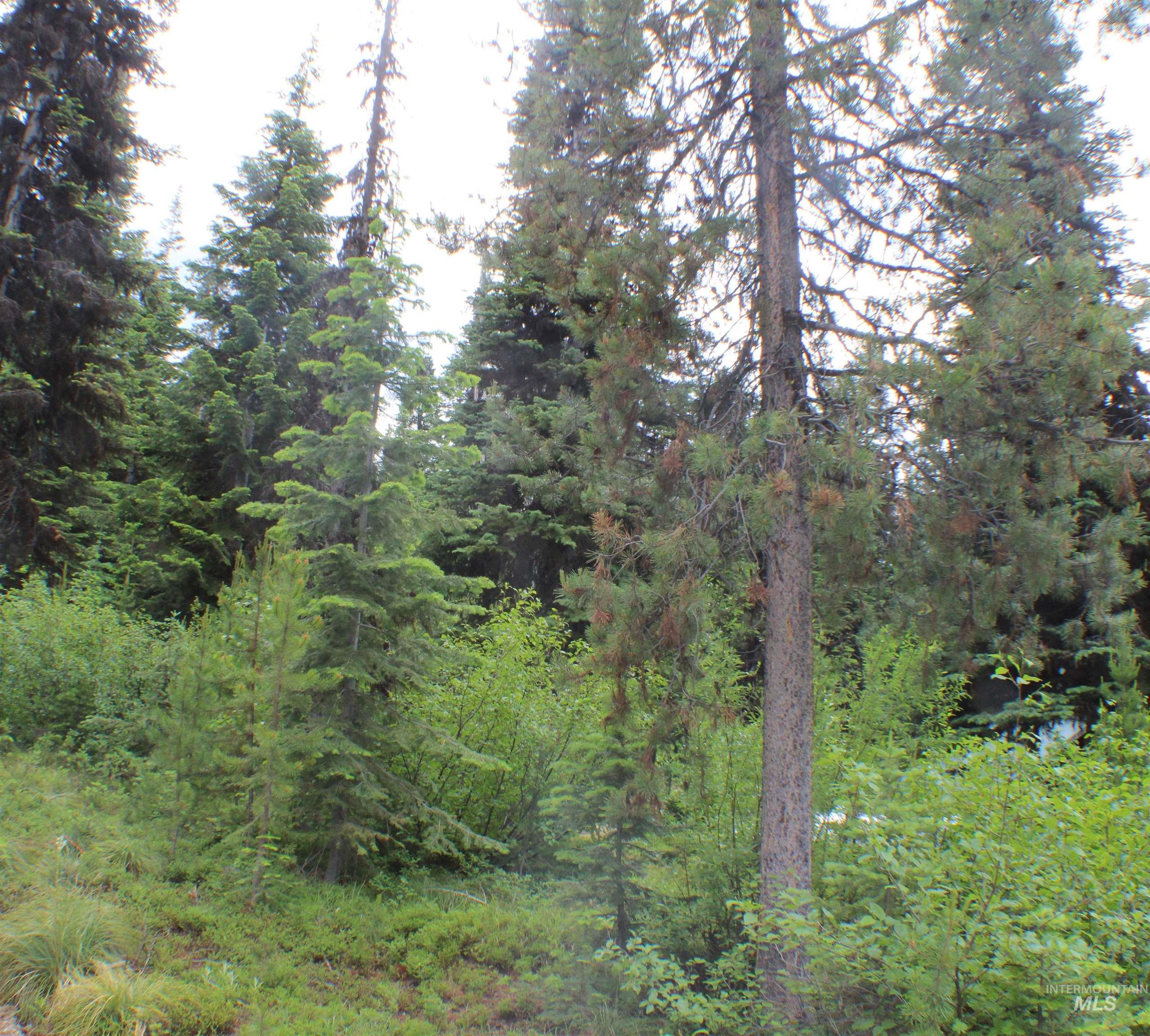 258 Rhett Creek Road, Dixie, Idaho 83525, 4 Bedrooms, 2 Bathrooms, Residential For Sale, Price $585,000,MLS 98991273