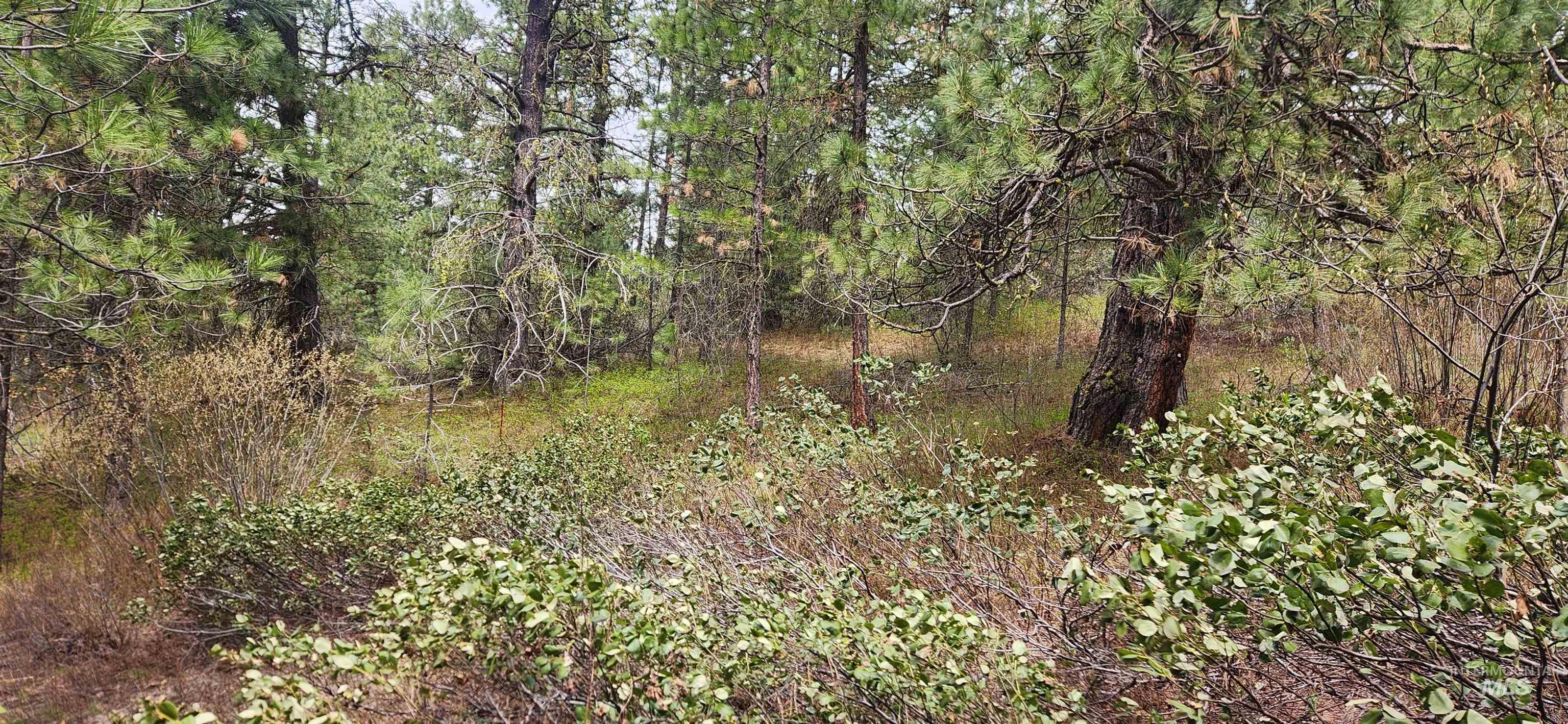 TBD Outlaw Trail, Banks, Idaho 83602, Land For Sale, Price $170,000,MLS 98991274