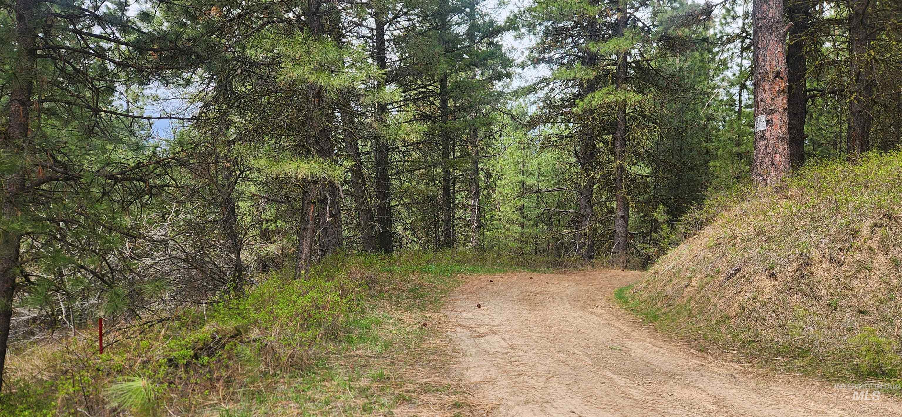 TBD Outlaw Trail, Banks, Idaho 83602, Land For Sale, Price $170,000,MLS 98991274