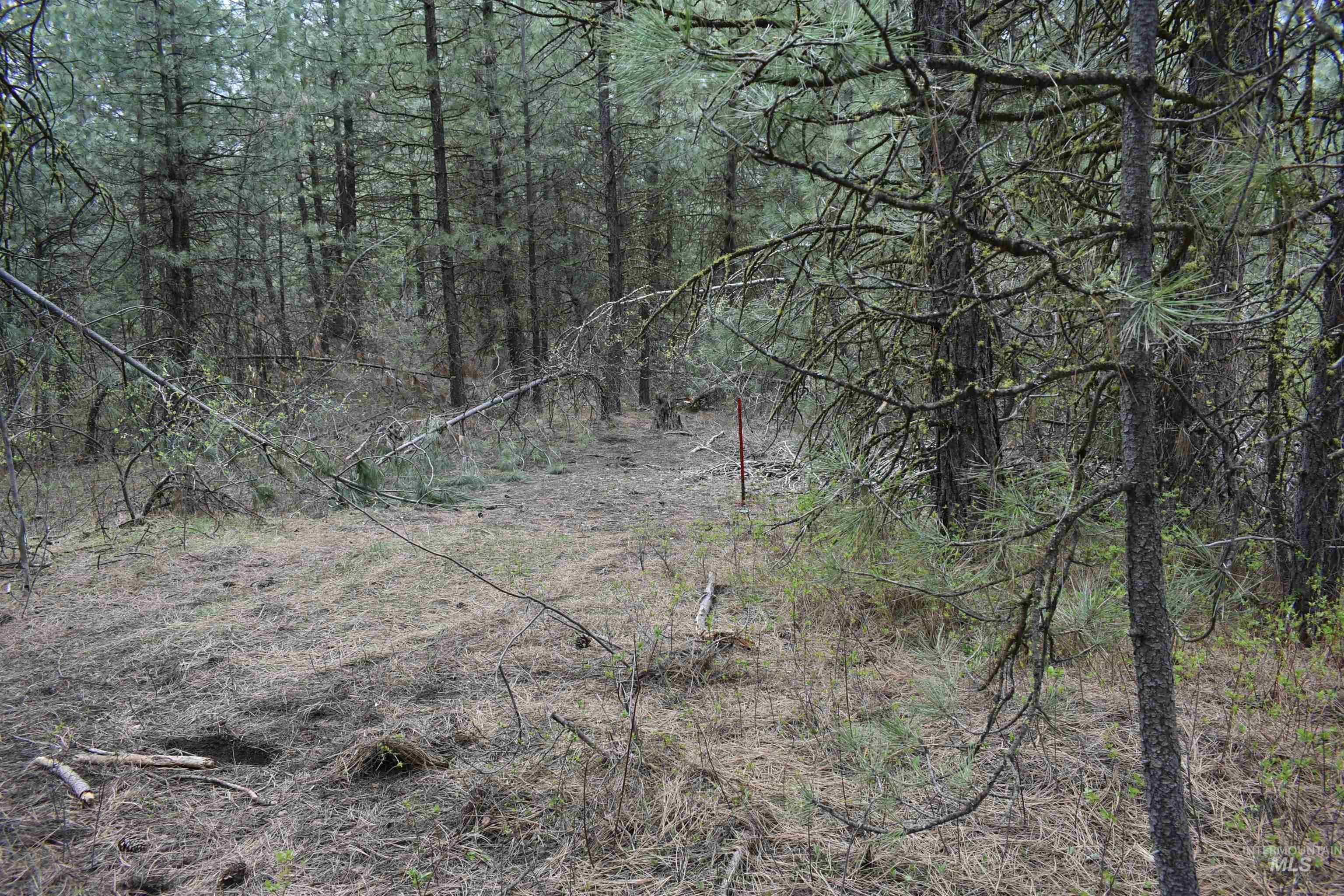 TBD Outlaw Trail, Banks, Idaho 83602, Land For Sale, Price $170,000,MLS 98991274