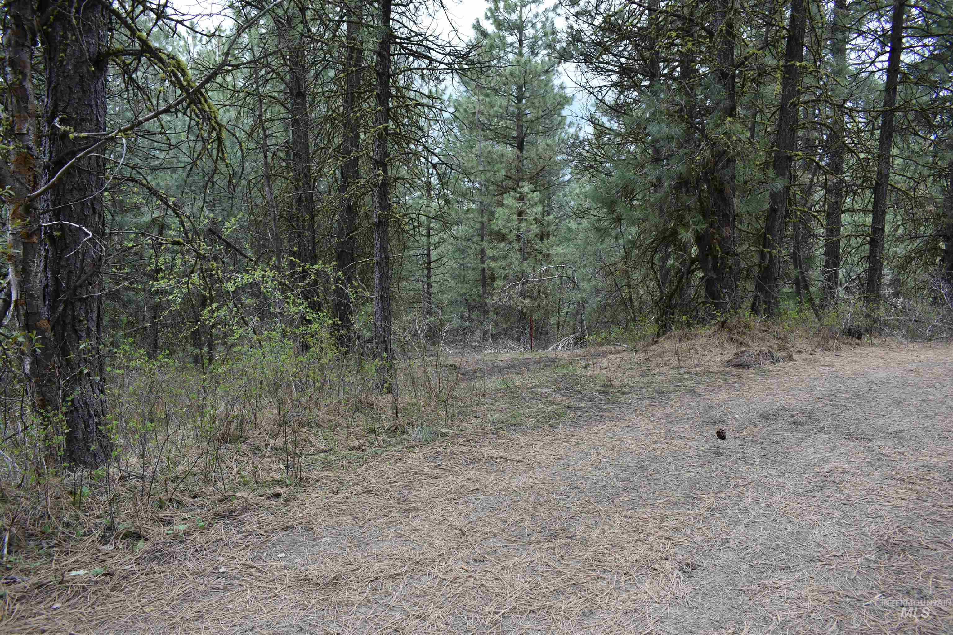 TBD Outlaw Trail, Banks, Idaho 83602, Land For Sale, Price $170,000,MLS 98991274