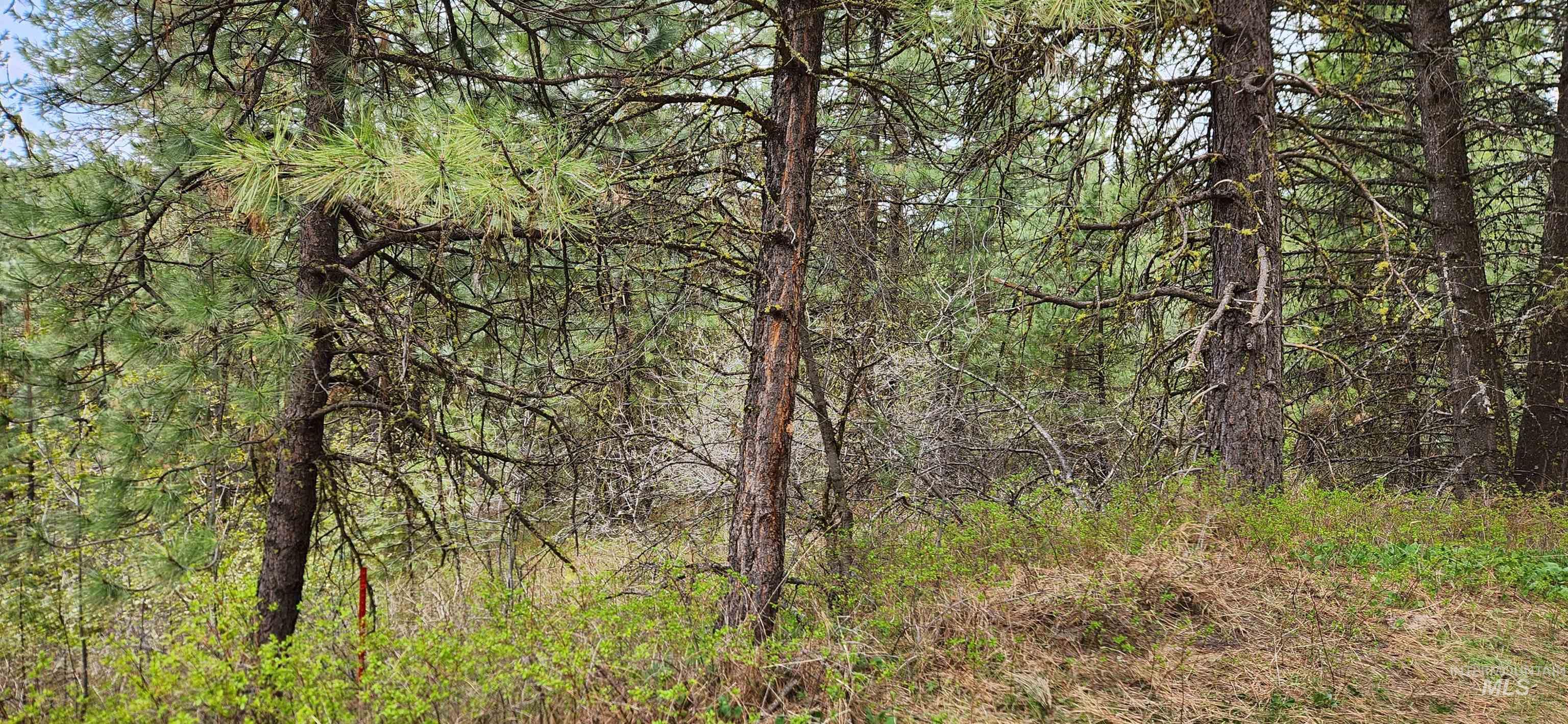 TBD Outlaw Trail, Banks, Idaho 83602, Land For Sale, Price $170,000,MLS 98991274