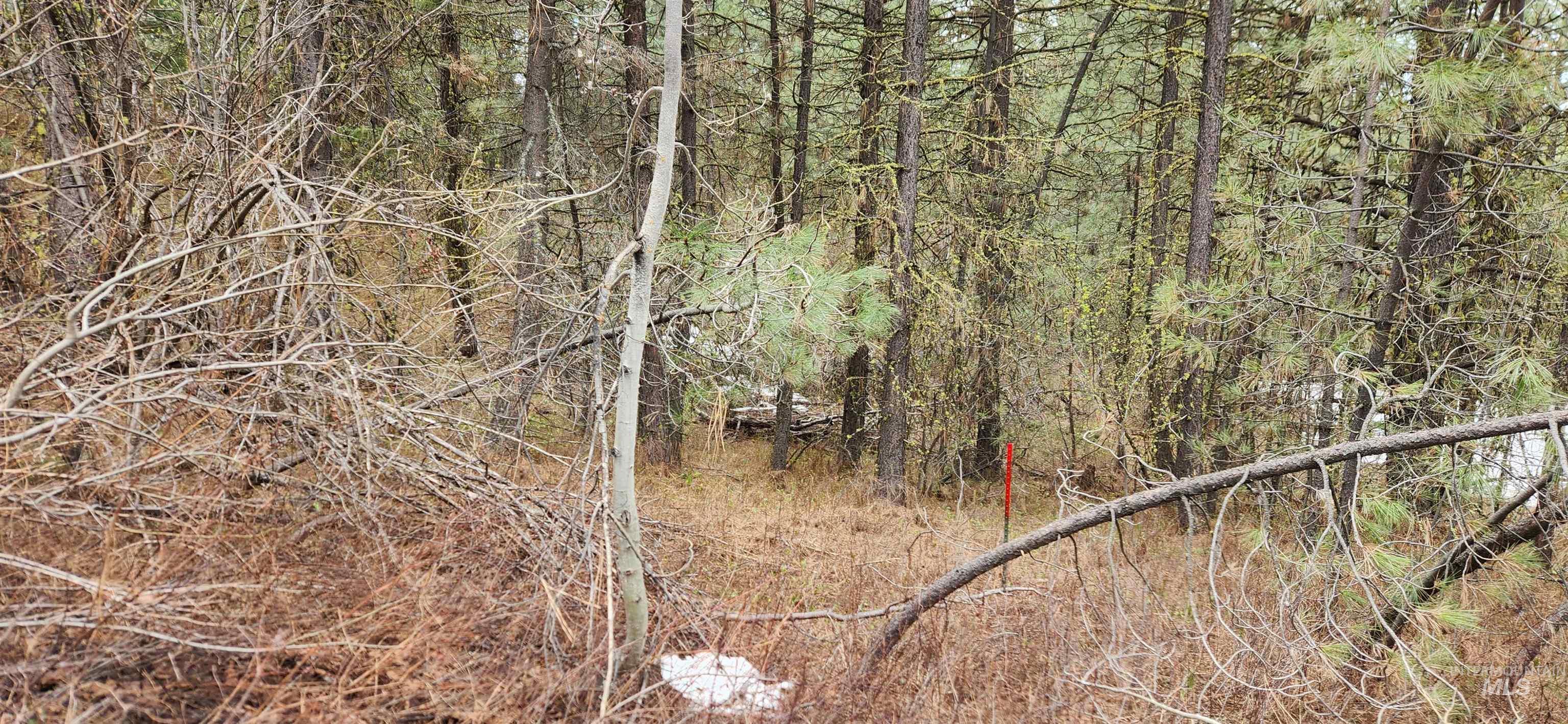 TBD Outlaw Trail, Banks, Idaho 83602, Land For Sale, Price $170,000,MLS 98991274