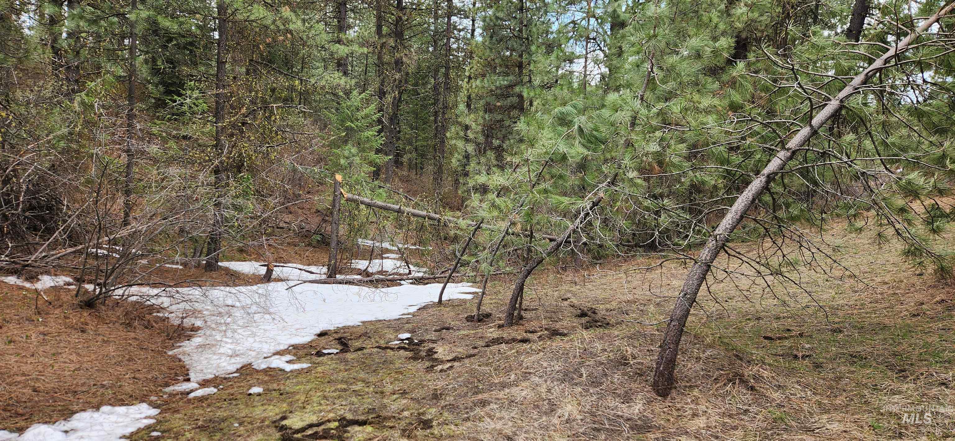 TBD Outlaw Trail, Banks, Idaho 83602, Land For Sale, Price $170,000,MLS 98991274