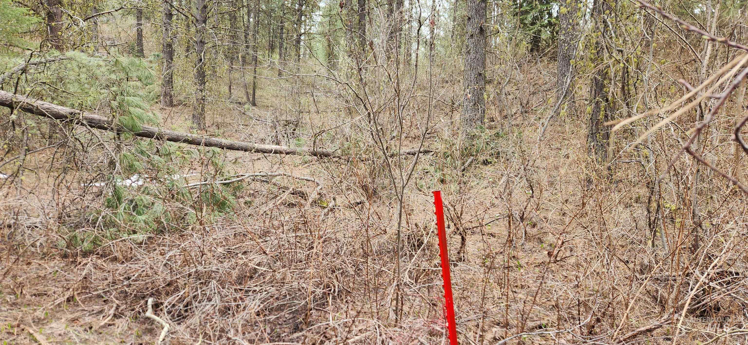 TBD Outlaw Trail, Banks, Idaho 83602, Land For Sale, Price $170,000,MLS 98991274