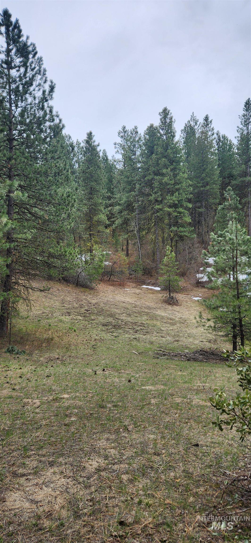 TBD Outlaw Trail, Banks, Idaho 83602, Land For Sale, Price $170,000,MLS 98991274