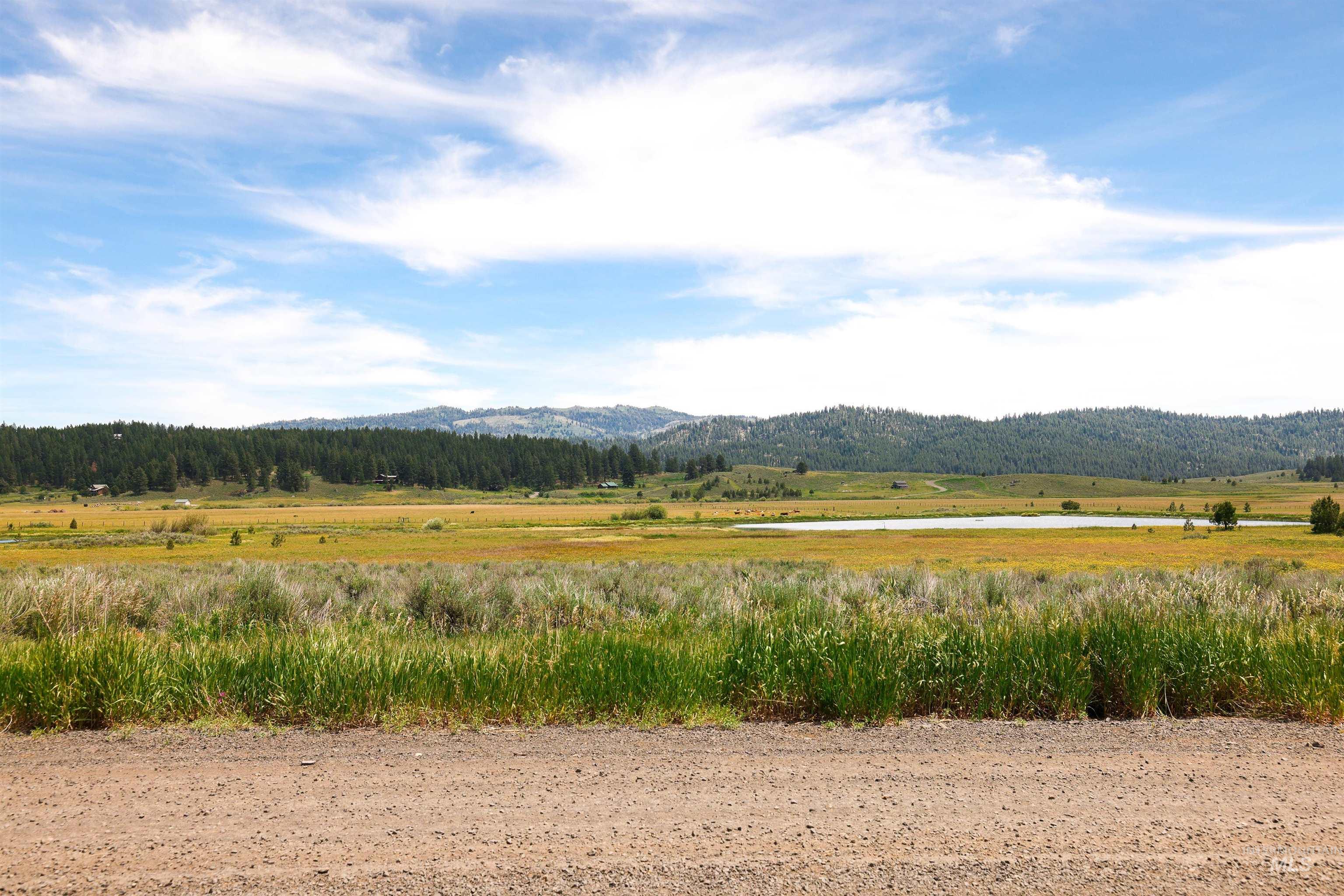 TBD Wilderness Lake Rd., High Valley, Idaho 83611, Land For Sale, Price $224,999,MLS 98991308