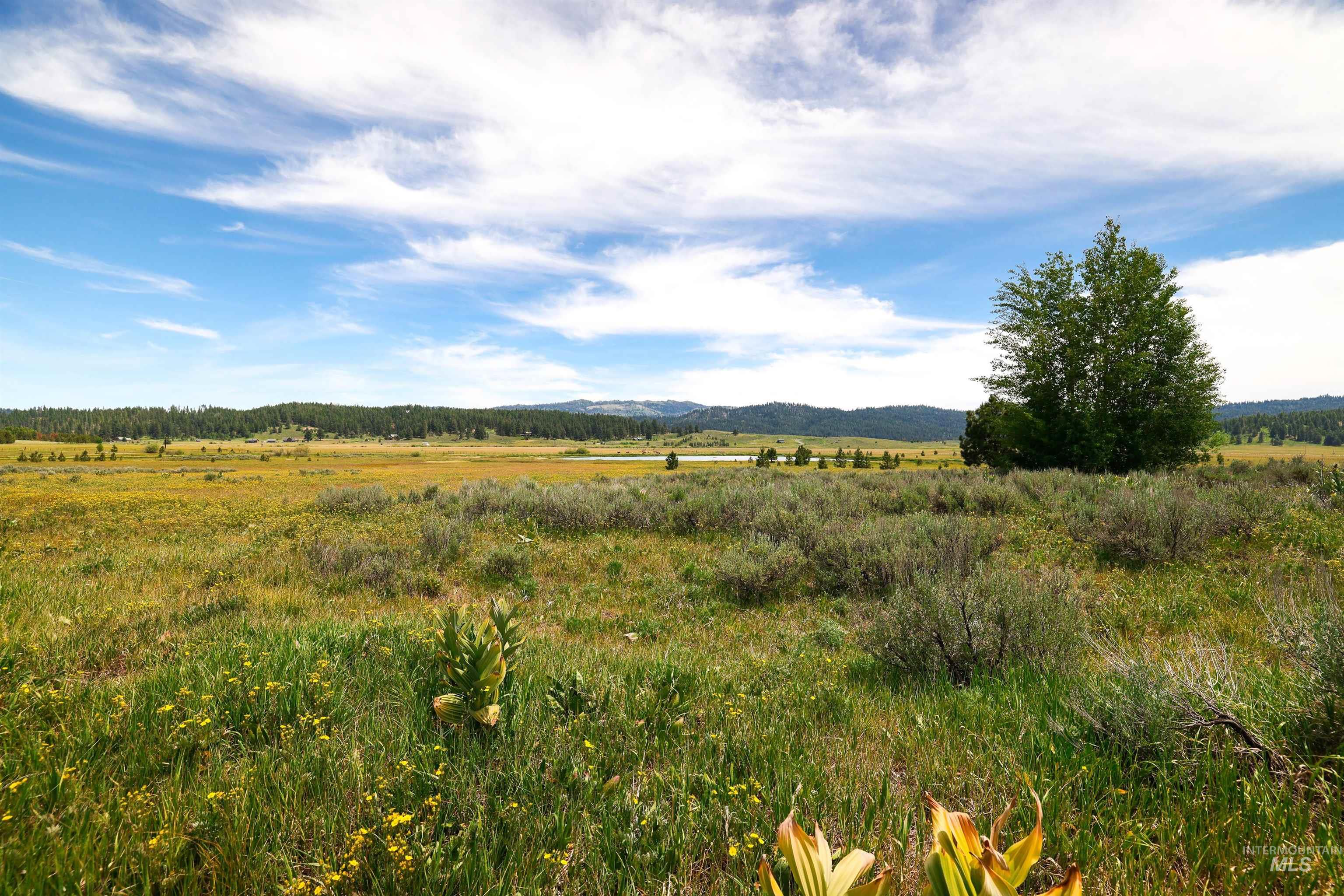 TBD Wilderness Lake Rd., High Valley, Idaho 83611, Land For Sale, Price $224,999,MLS 98991308