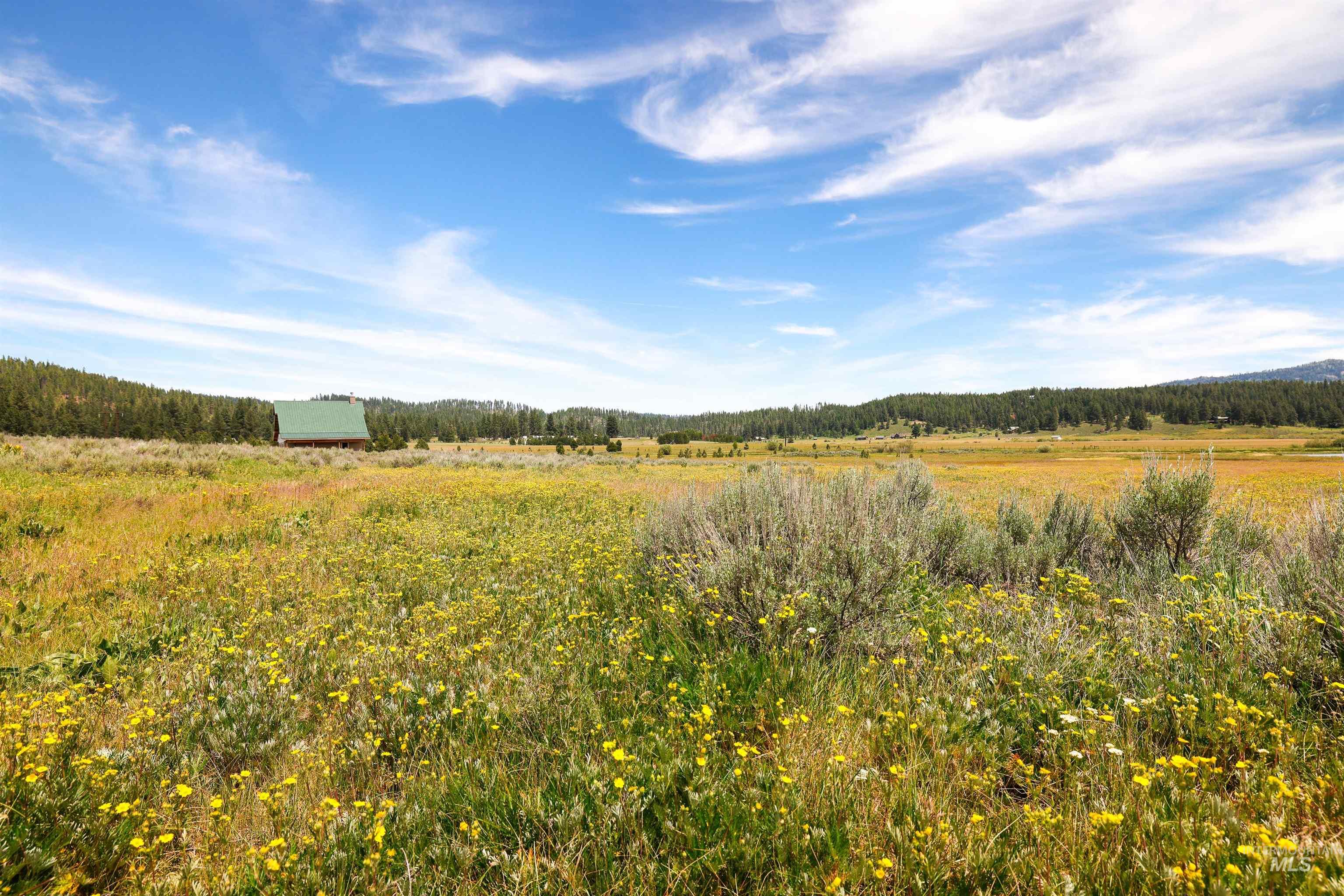 TBD Wilderness Lake Rd., High Valley, Idaho 83611, Land For Sale, Price $224,999,MLS 98991308