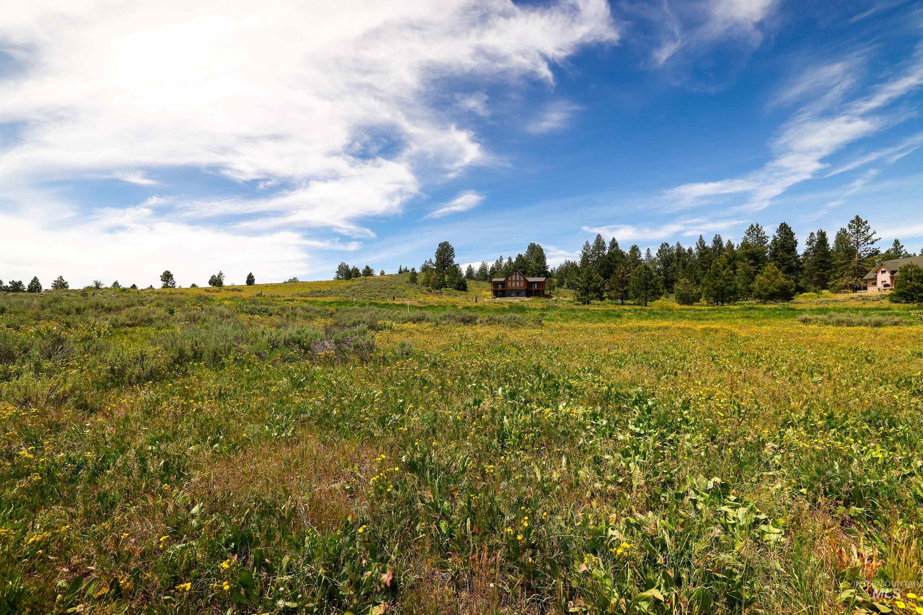 TBD Wilderness Lake Rd., High Valley, Idaho 83611, Land For Sale, Price $224,999,MLS 98991308