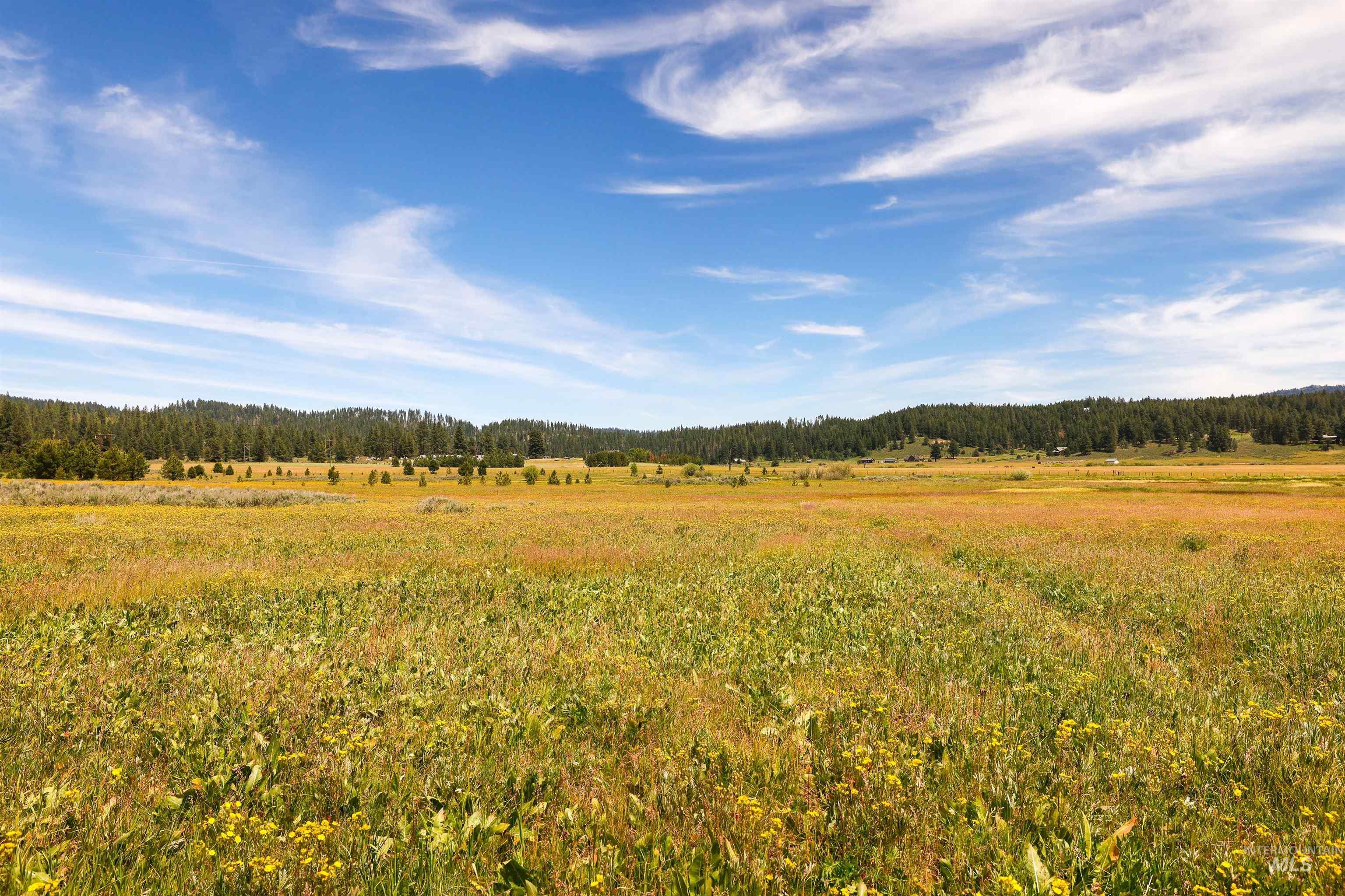 TBD Wilderness Lake Rd., High Valley, Idaho 83611, Land For Sale, Price $224,999,MLS 98991308