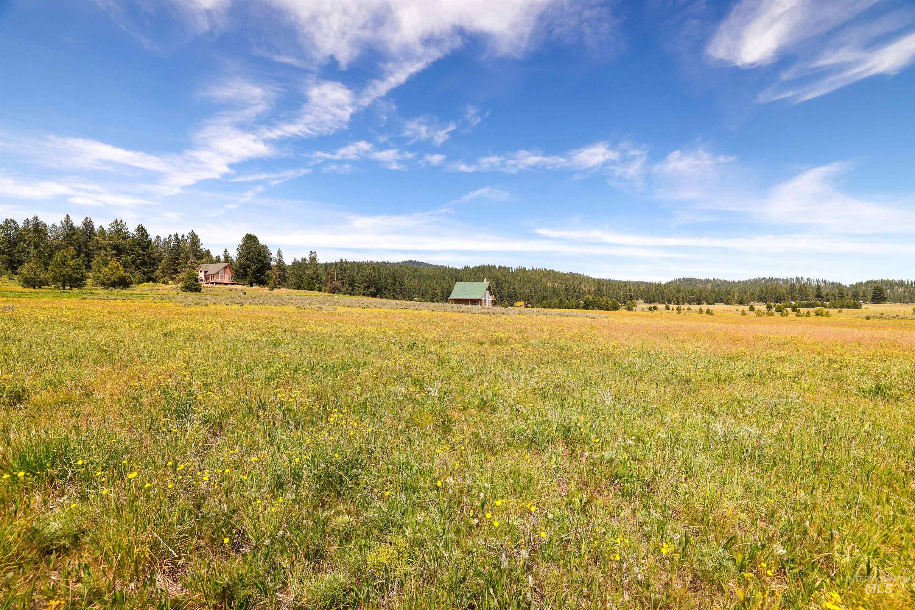 TBD Wilderness Lake Rd., High Valley, Idaho 83611, Land For Sale, Price $224,999,MLS 98991308