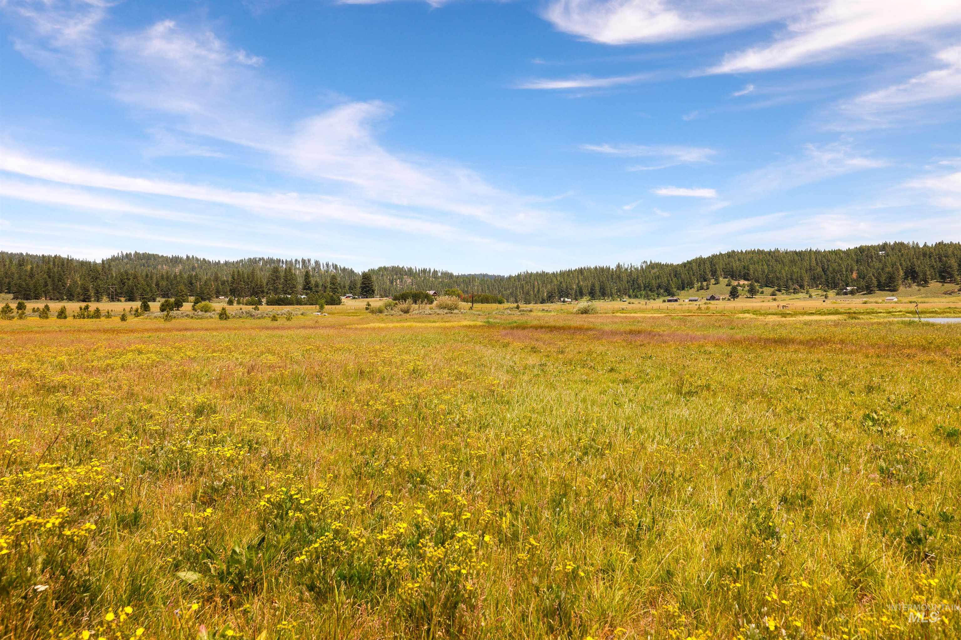 TBD Wilderness Lake Rd., High Valley, Idaho 83611, Land For Sale, Price $224,999,MLS 98991308