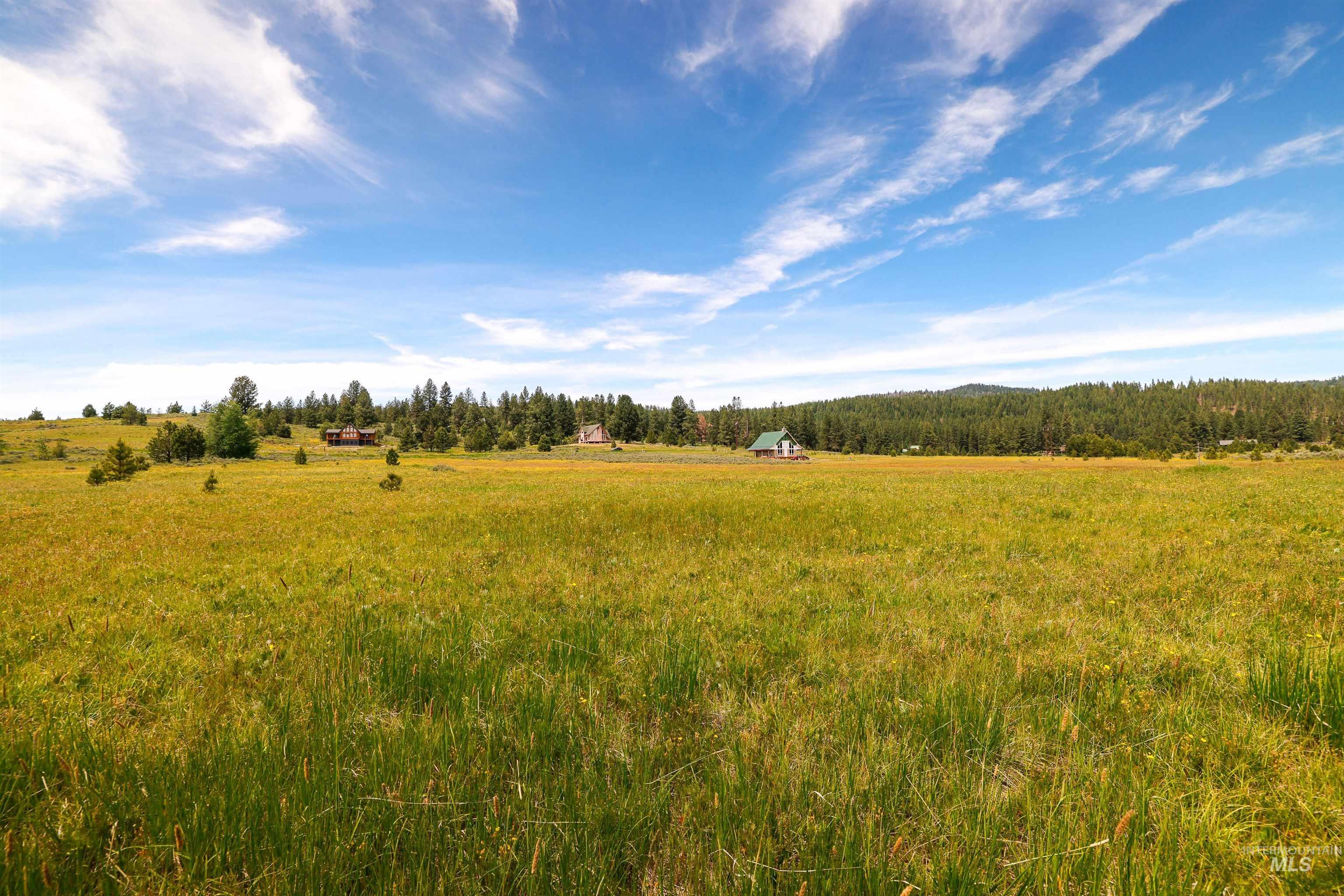 TBD Wilderness Lake Rd., High Valley, Idaho 83611, Land For Sale, Price $224,999,MLS 98991308