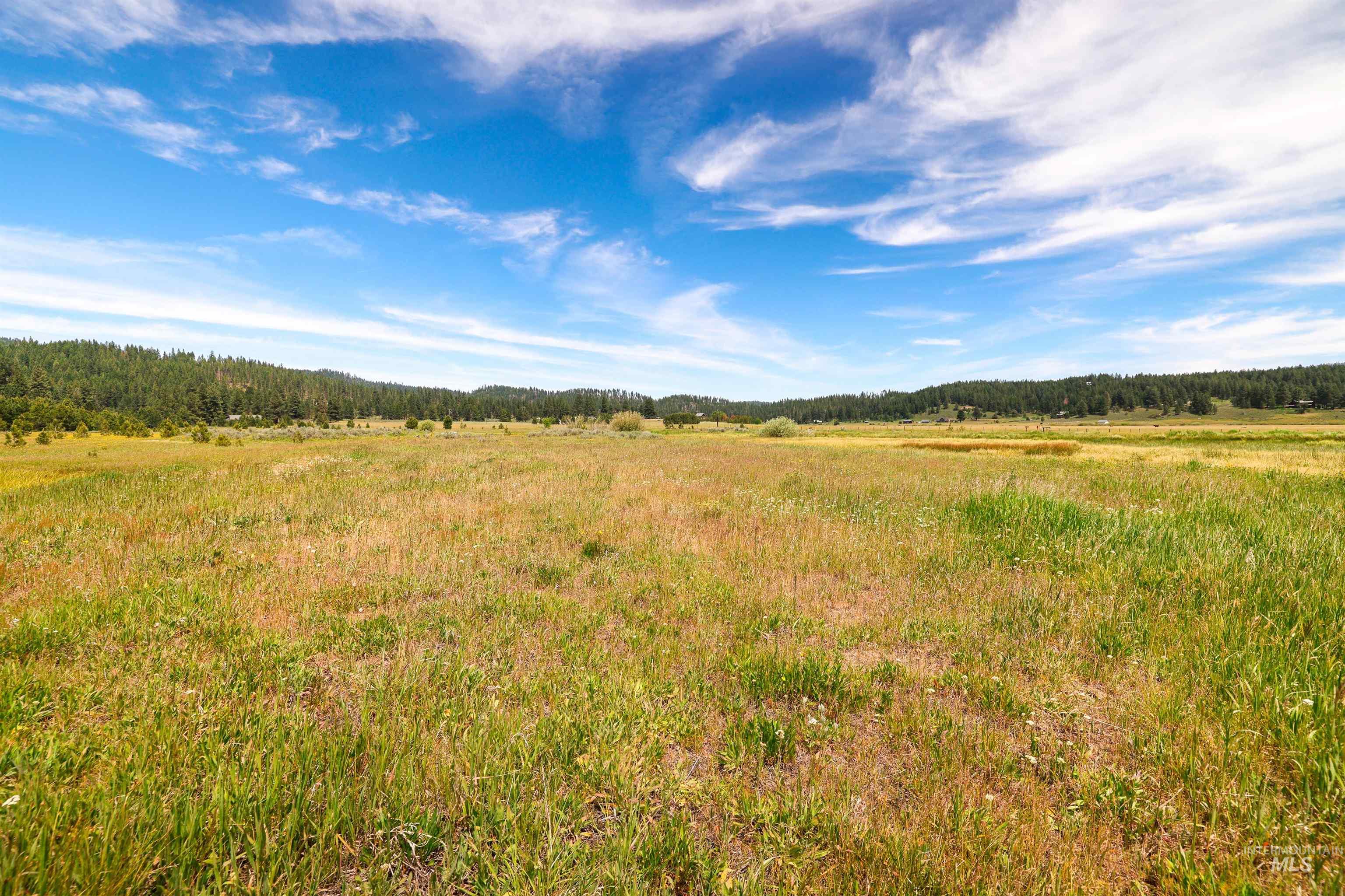 TBD Wilderness Lake Rd., High Valley, Idaho 83611, Land For Sale, Price $224,999,MLS 98991308
