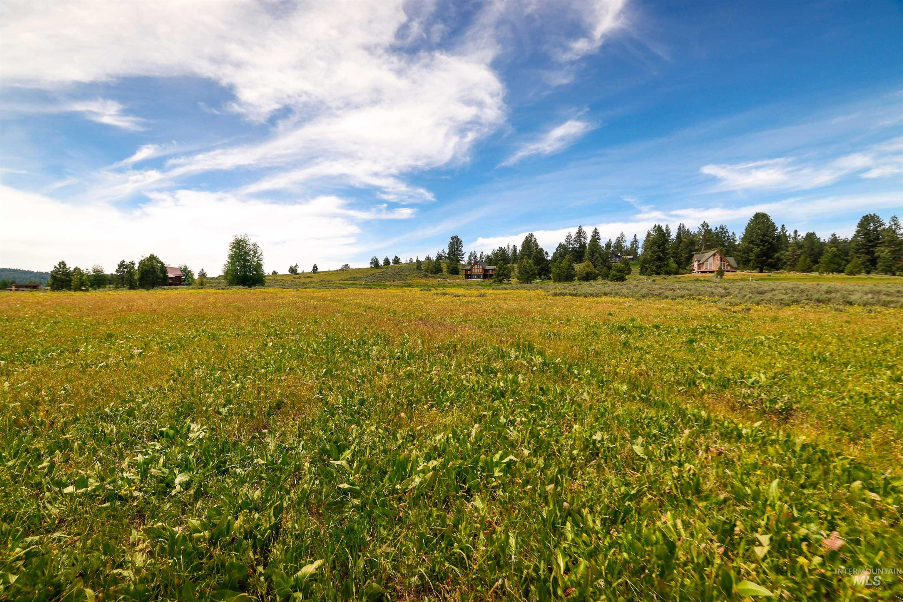 TBD Wilderness Lake Rd., High Valley, Idaho 83611, Land For Sale, Price $224,999,MLS 98991308