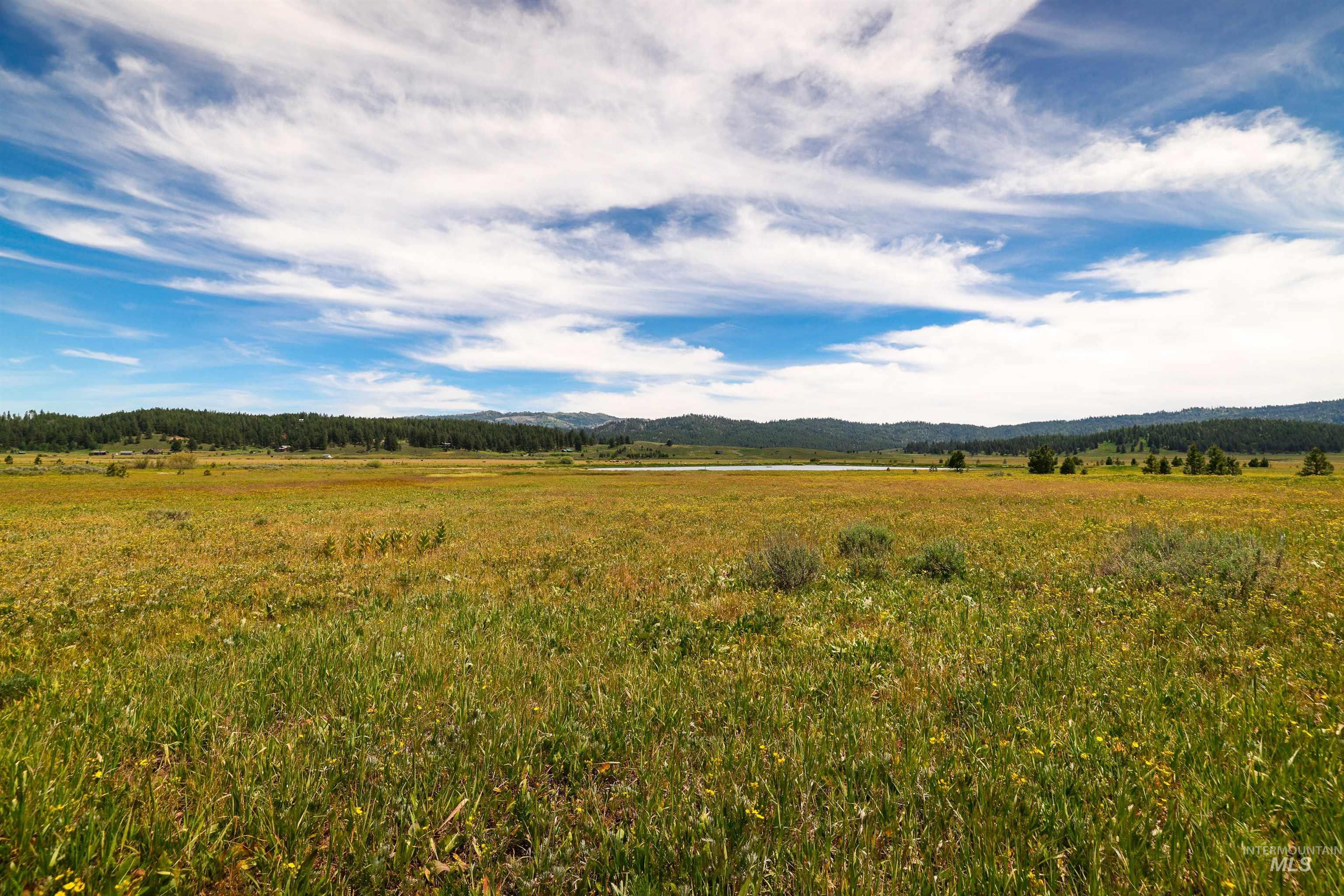 TBD Wilderness Lake Rd., High Valley, Idaho 83611, Land For Sale, Price $224,999,MLS 98991308