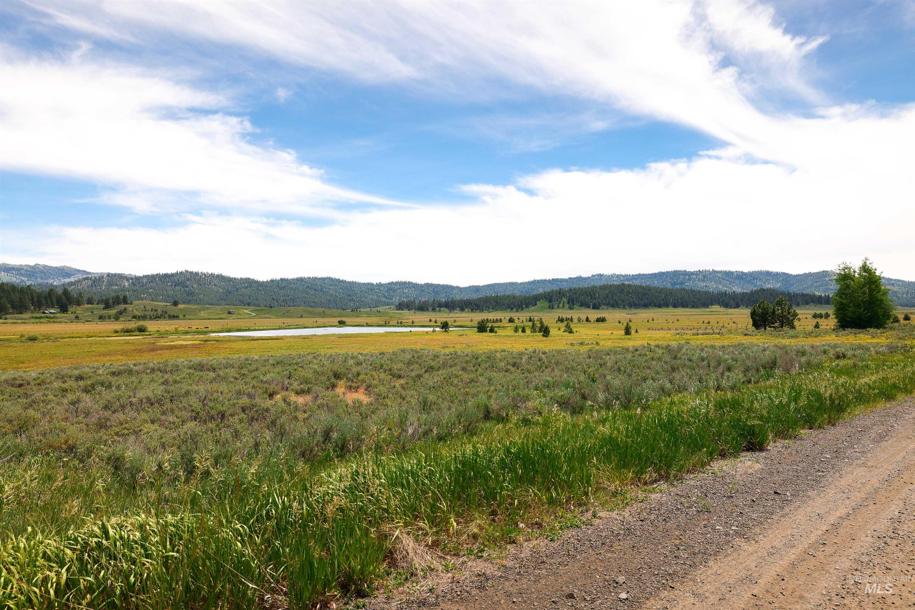 TBD Wilderness Lake Rd., High Valley, Idaho 83611, Land For Sale, Price $224,999,MLS 98991308