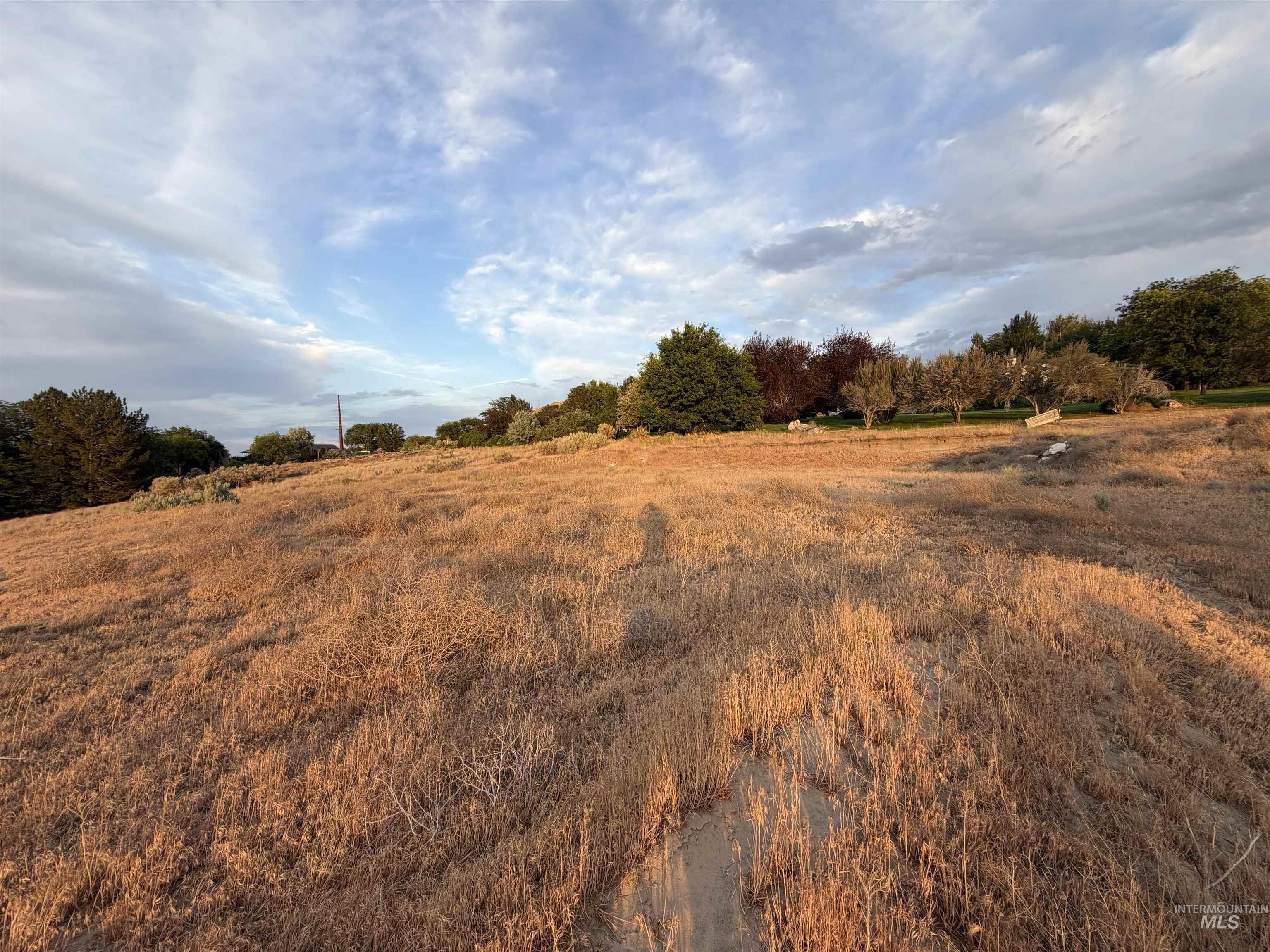 TBD Chessmore Dr, Buhl, Idaho 83316, Land For Sale, Price $125,000,MLS 98991388