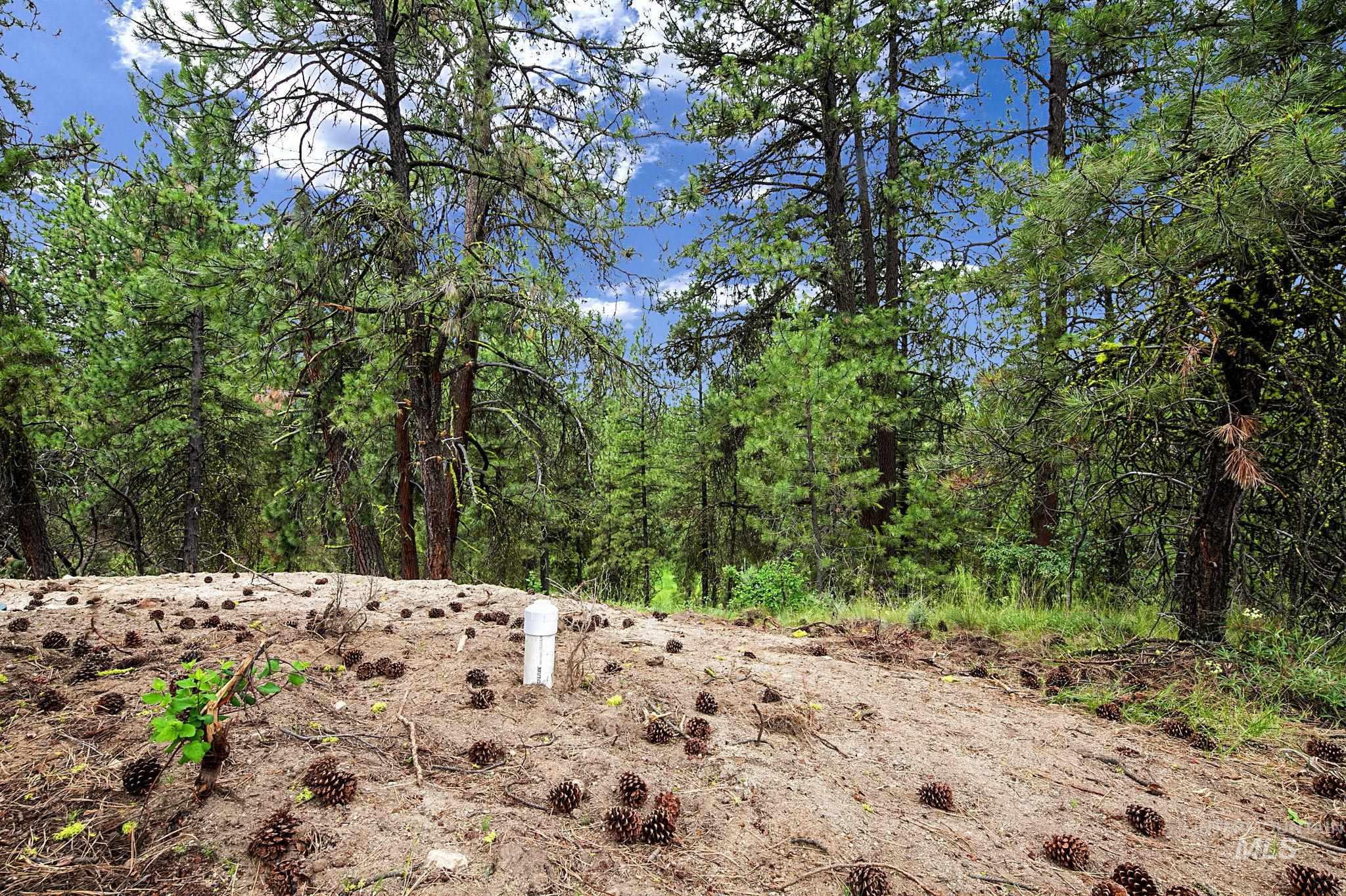 1497 Pine Ridge Dr, Cascade, Idaho 83611, Land For Sale, Price $375,000,MLS 98991396