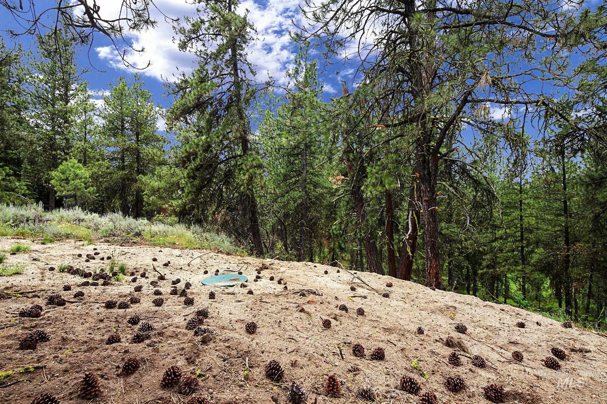 1497 Pine Ridge Dr, Cascade, Idaho 83611, Land For Sale, Price $375,000,MLS 98991396