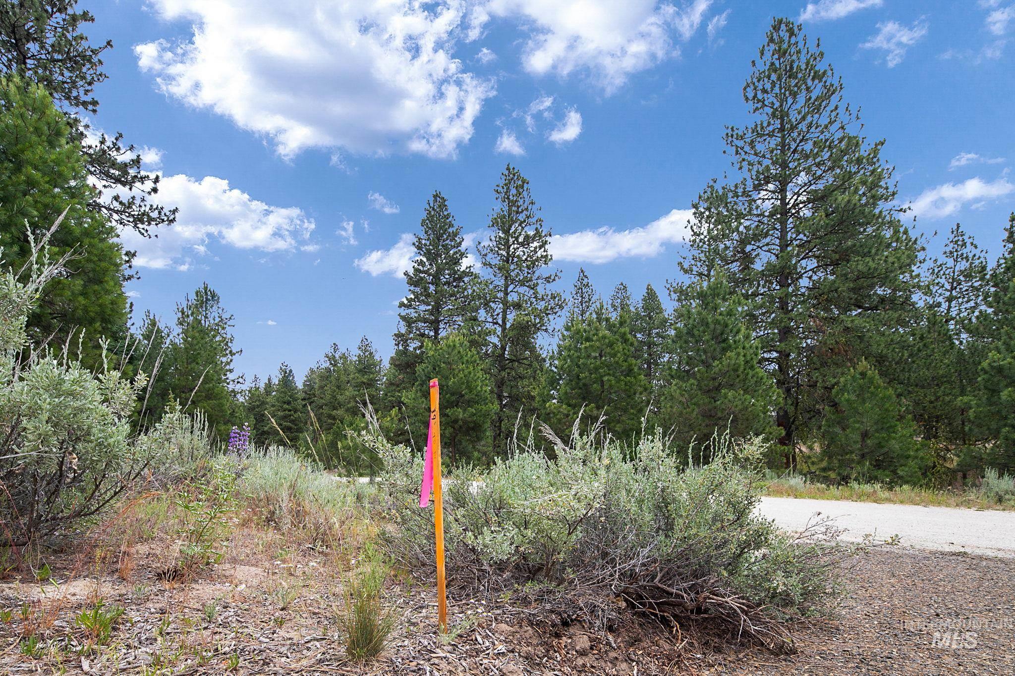1497 Pine Ridge Dr, Cascade, Idaho 83611, Land For Sale, Price $375,000,MLS 98991396