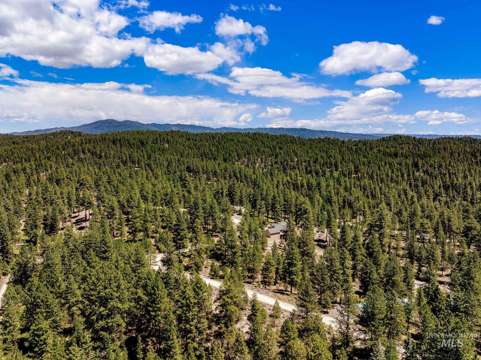 1497 Pine Ridge Dr, Cascade, Idaho 83611, Land For Sale, Price $375,000,MLS 98991396