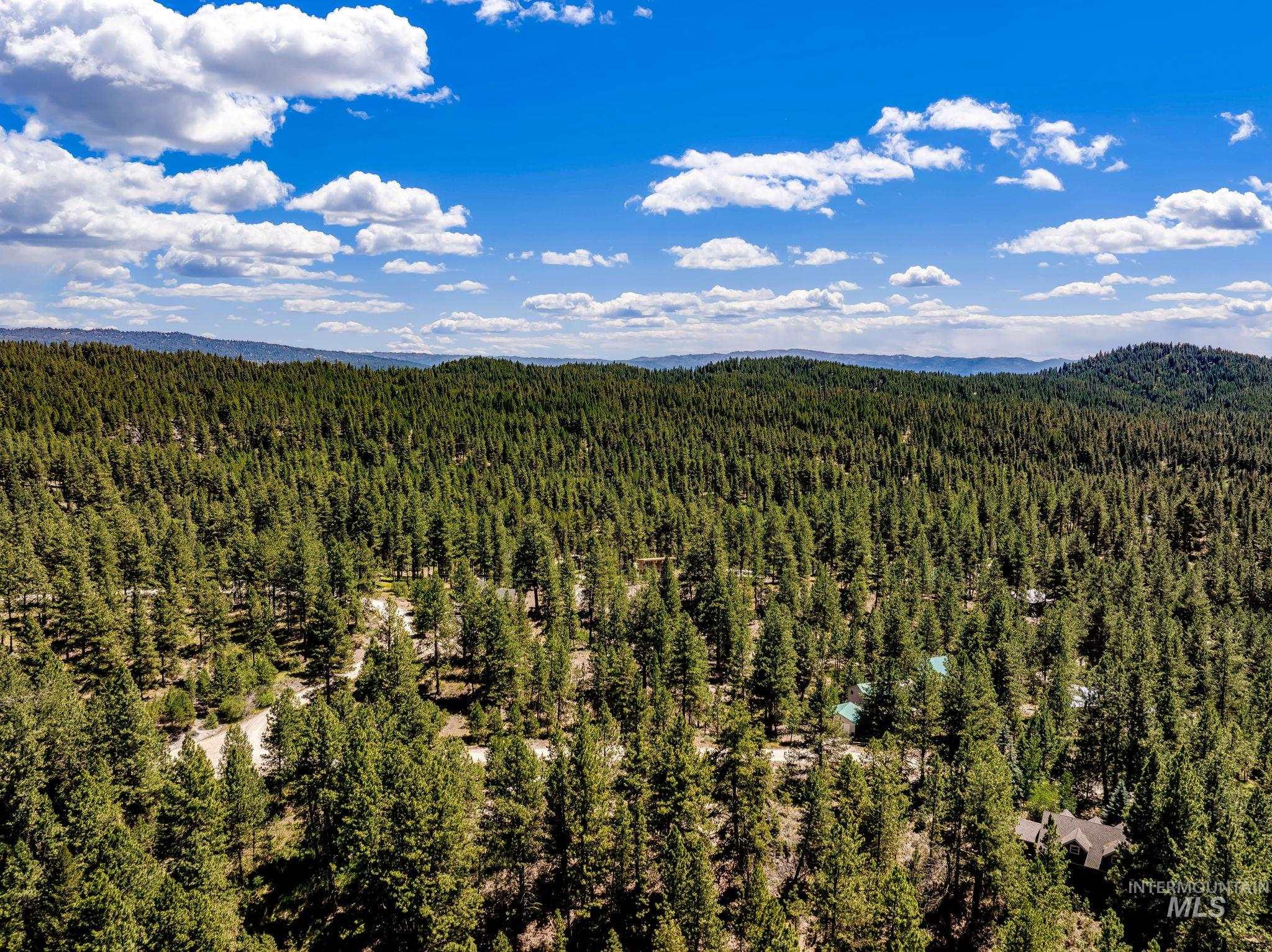 1497 Pine Ridge Dr, Cascade, Idaho 83611, Land For Sale, Price $375,000,MLS 98991396