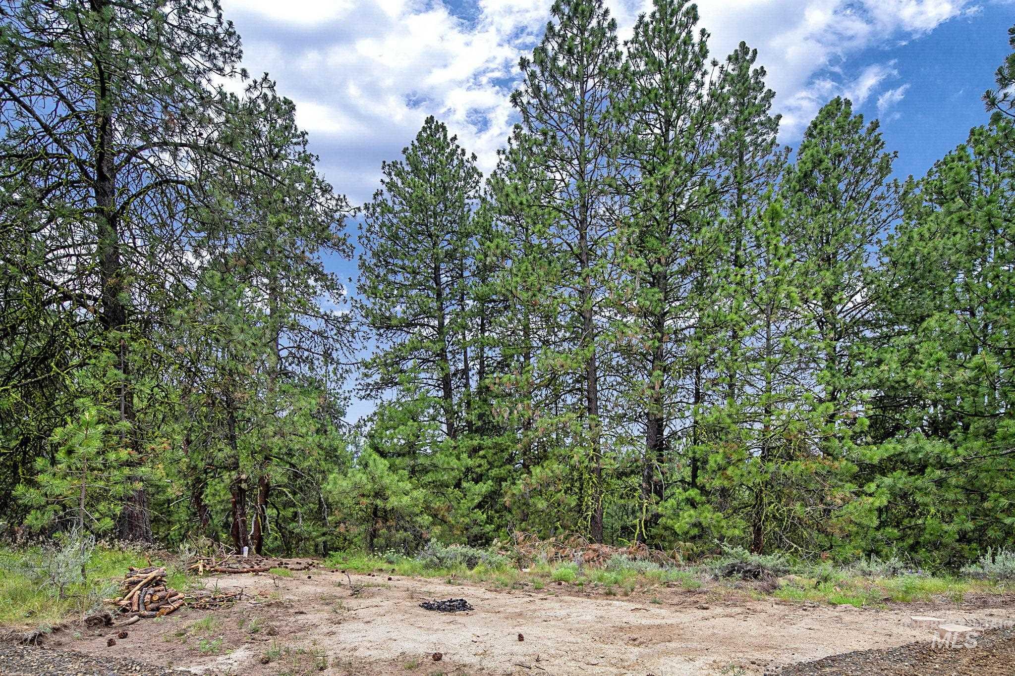 1497 Pine Ridge Dr, Cascade, Idaho 83611, Land For Sale, Price $375,000,MLS 98991396