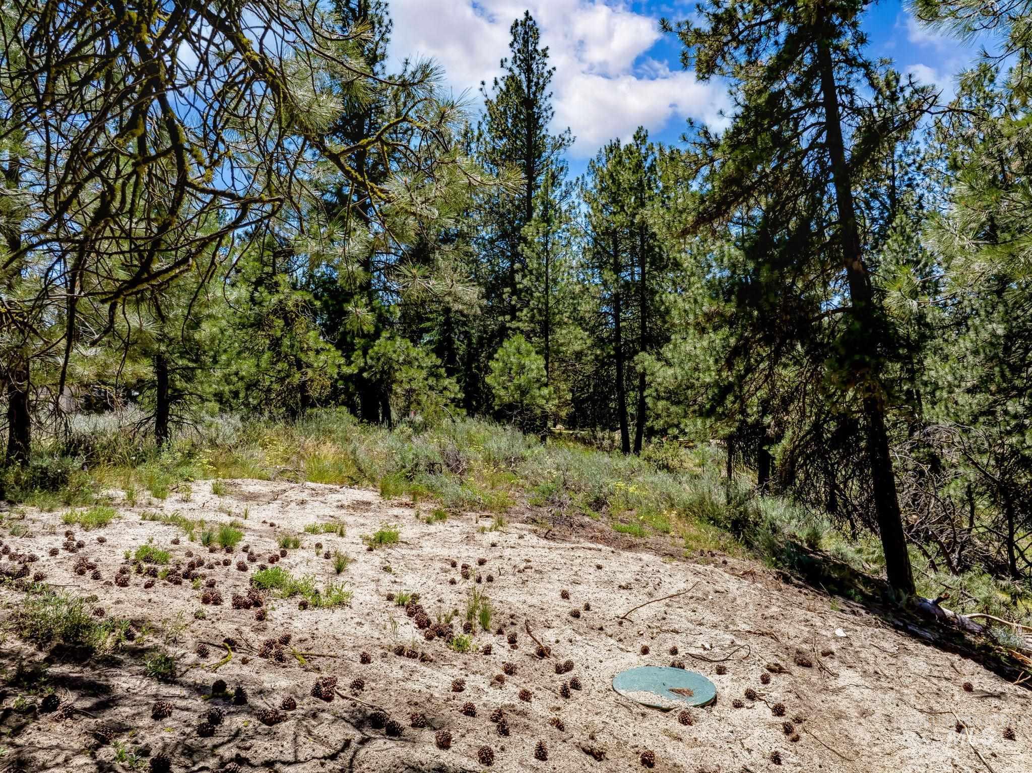 1497 Pine Ridge Dr, Cascade, Idaho 83611, Land For Sale, Price $375,000,MLS 98991396