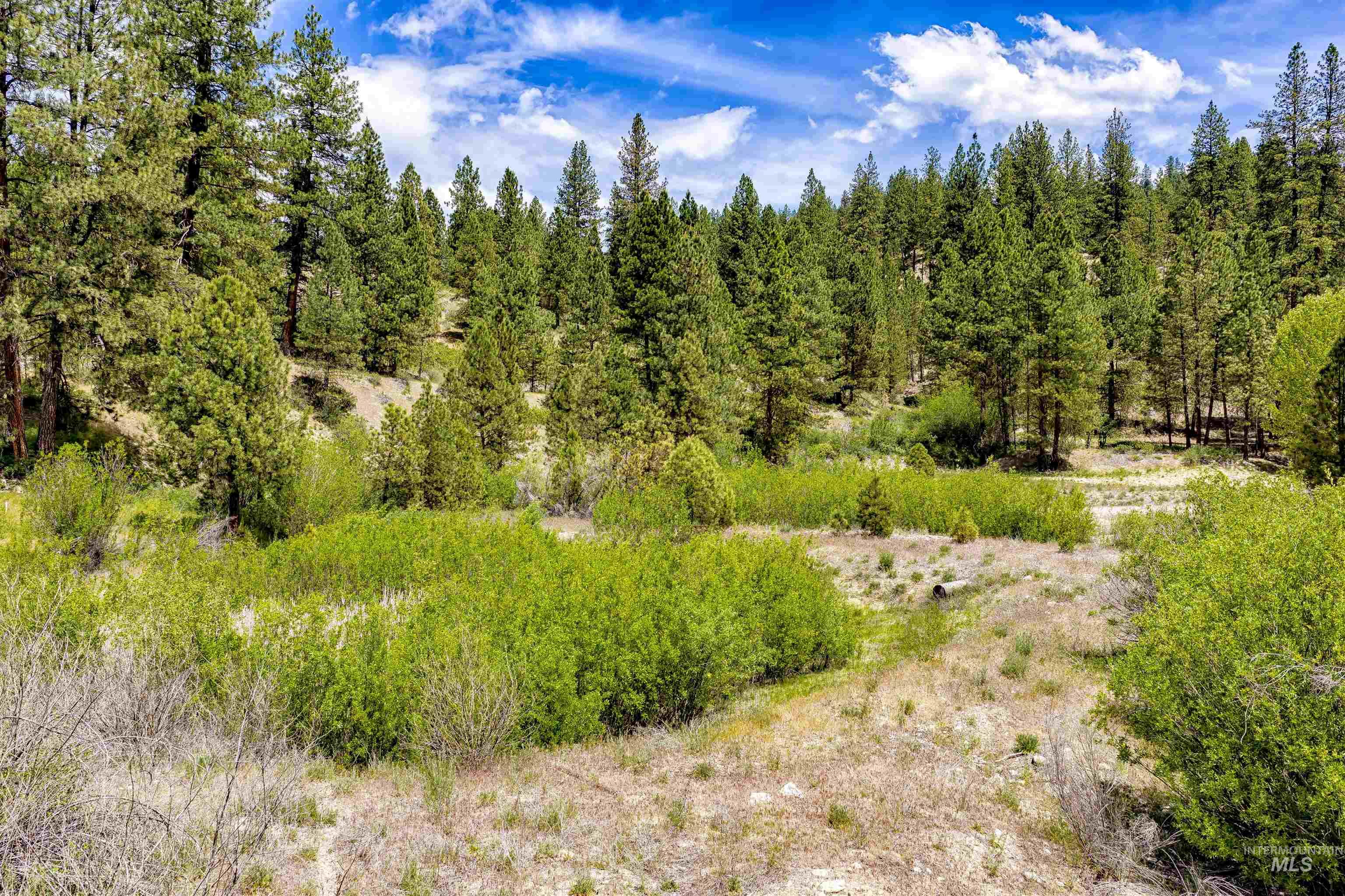 Napias Lot 4, Boise, Idaho 83716, Land For Sale, Price $199,000, 98991398