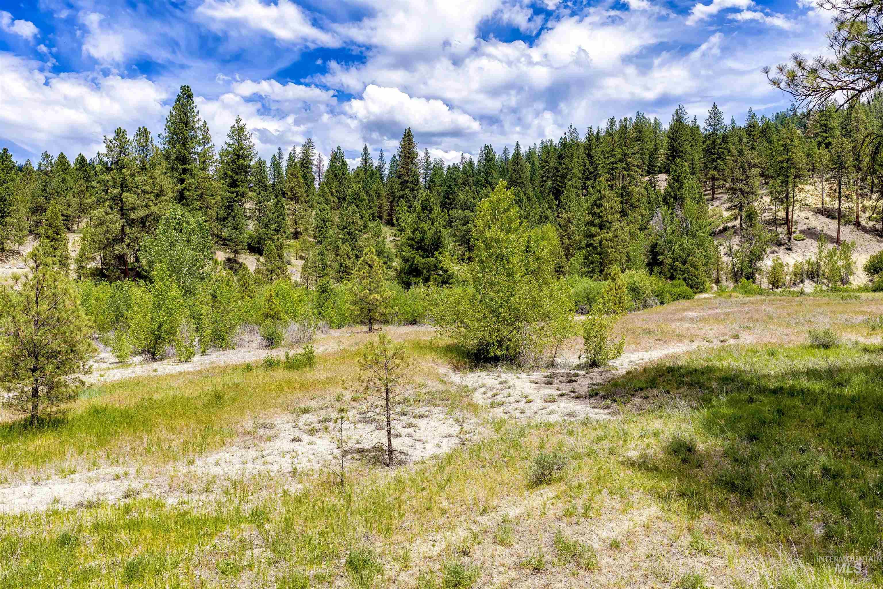 Napias Lot 4, Boise, Idaho 83716, Land For Sale, Price $199,000, 98991398