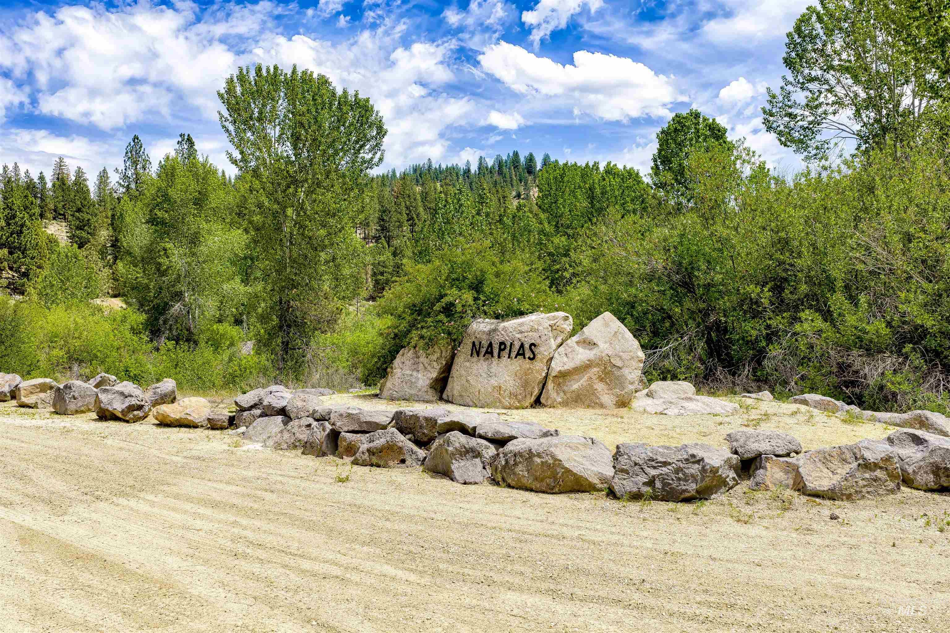 Napias Lot 4, Boise, Idaho 83716, Land For Sale, Price $199,000, 98991398