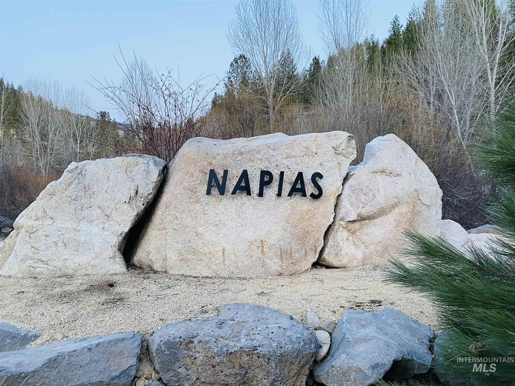 Napias Lot 4, Boise, Idaho 83716, Land For Sale, Price $199,000, 98991398