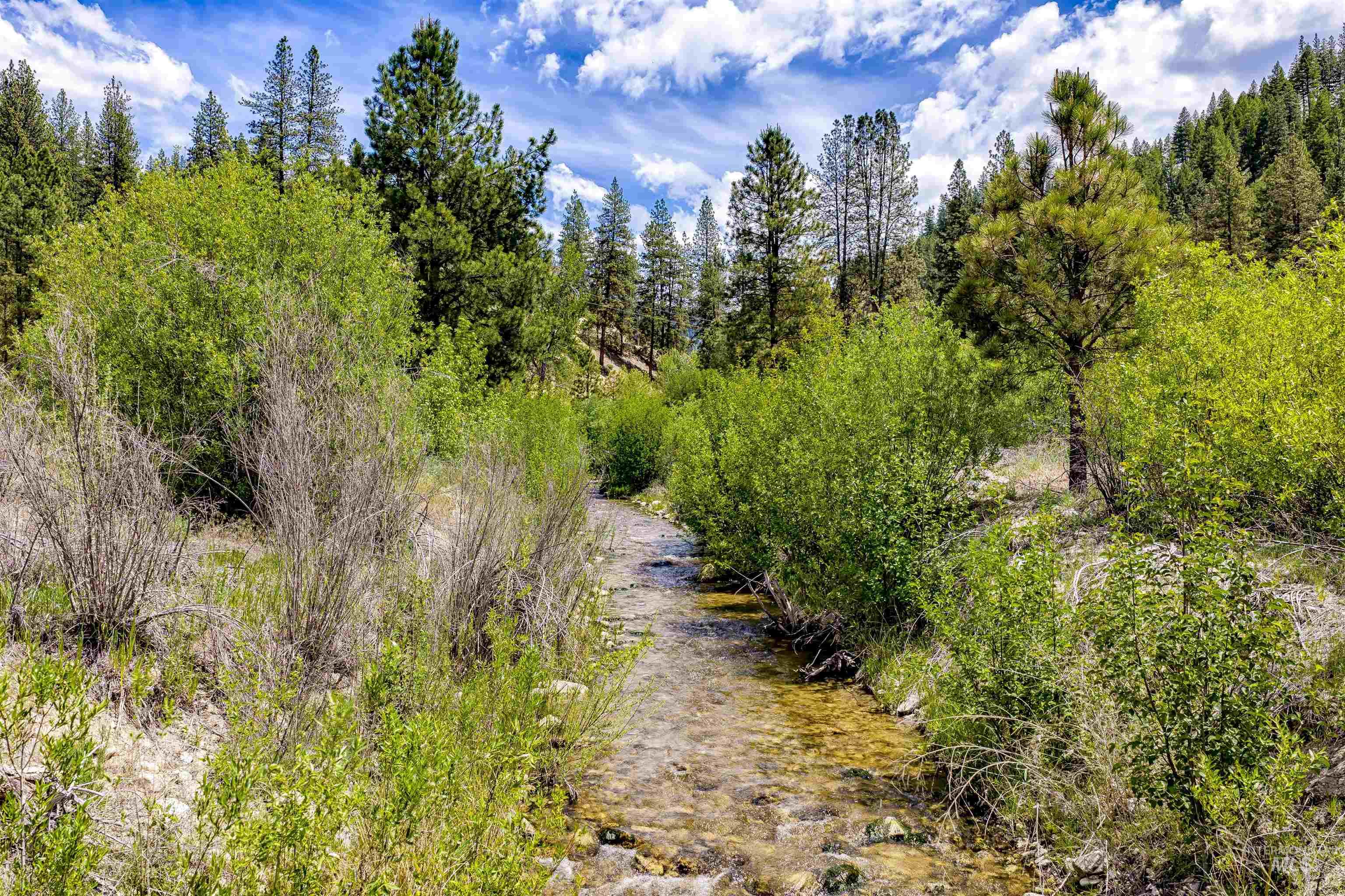 Napias Lot 4, Boise, Idaho 83716, Land For Sale, Price $199,000, 98991398