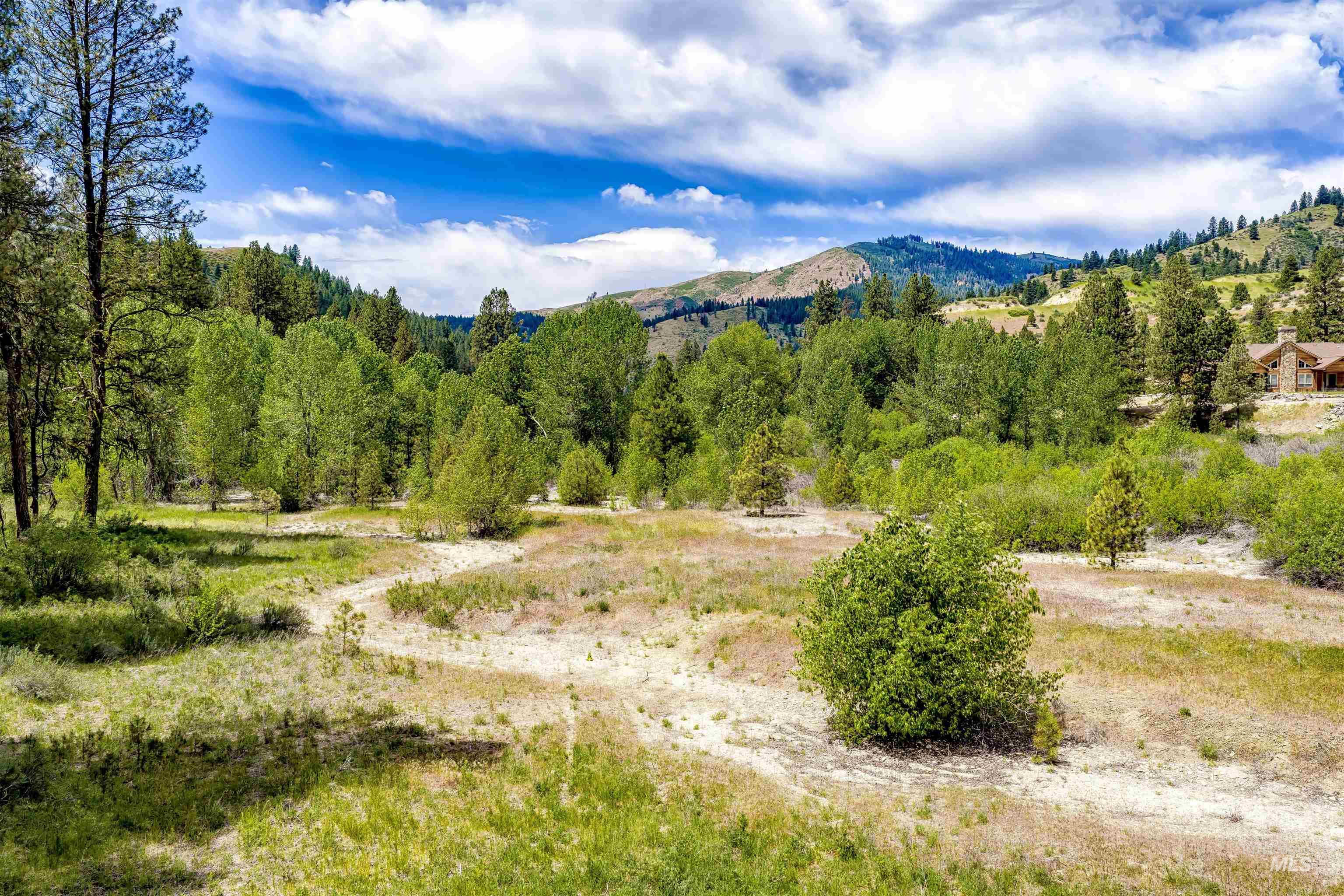 Napias Lot 4, Boise, Idaho 83716, Land For Sale, Price $199,000, 98991398