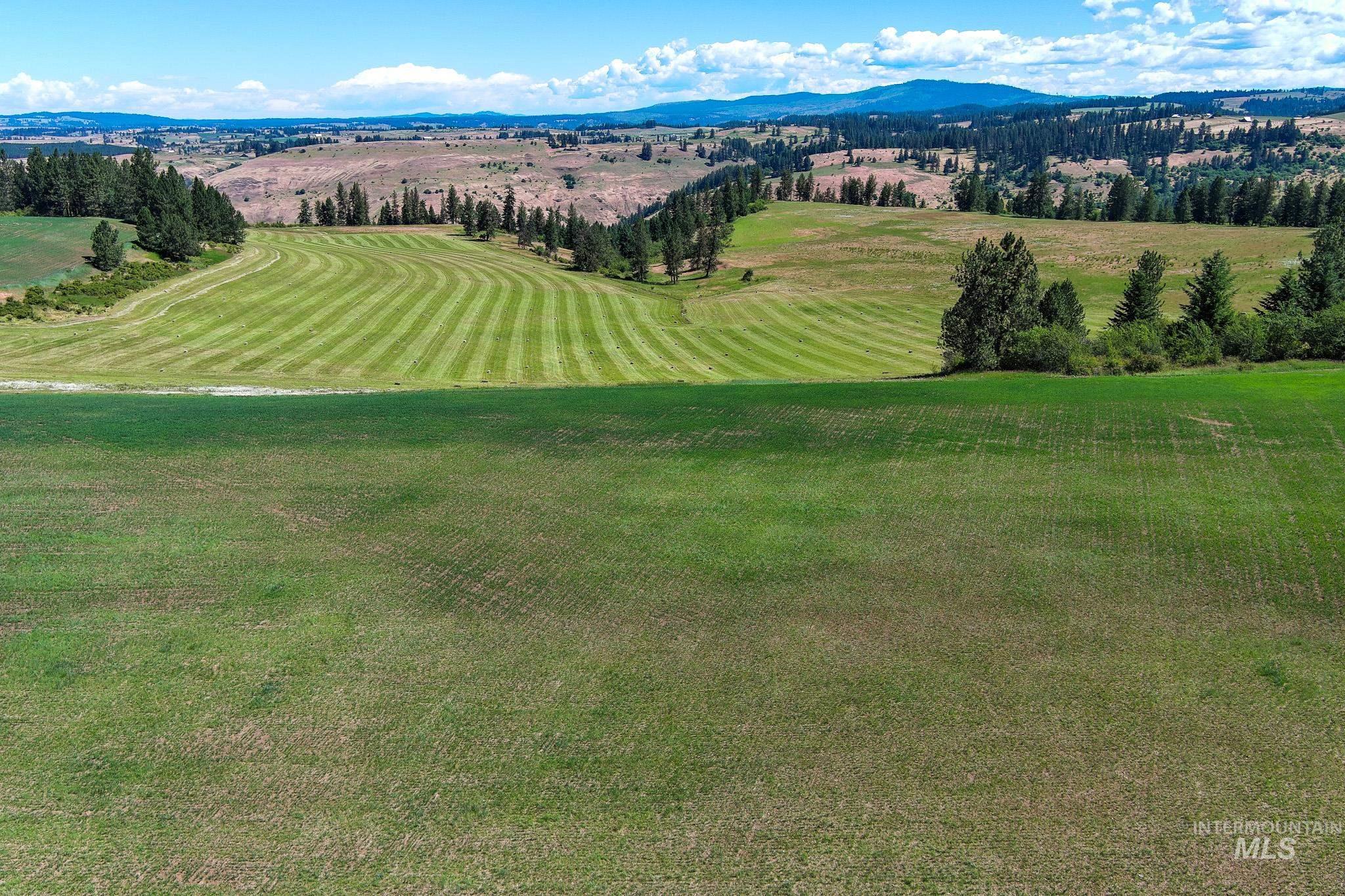 TBD Battle Ridge Road, Kooskia, Idaho 83539, Land For Sale, Price $109,000,MLS 98991449