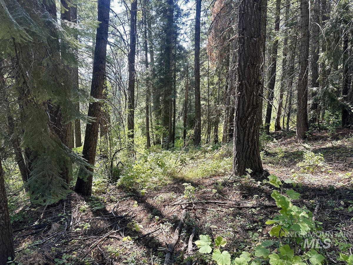 37 Arling Trail, Donnelly, Idaho 83615, Land For Sale, Price $109,900, 98991486