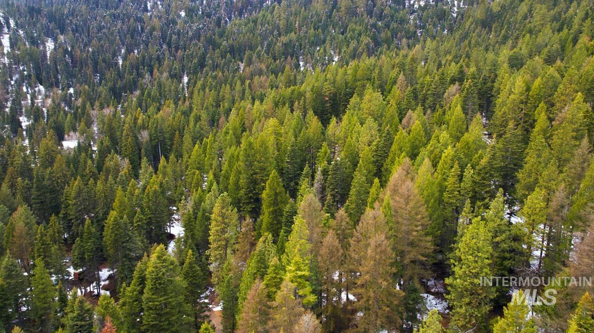 37 Arling Trail, Donnelly, Idaho 83615, Land For Sale, Price $109,900, 98991486