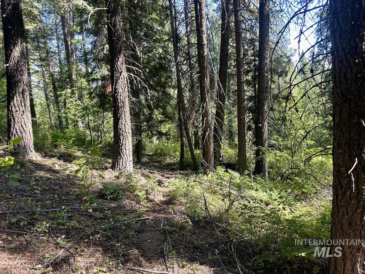37 Arling Trail, Donnelly, Idaho 83615, Land For Sale, Price $109,900, 98991486