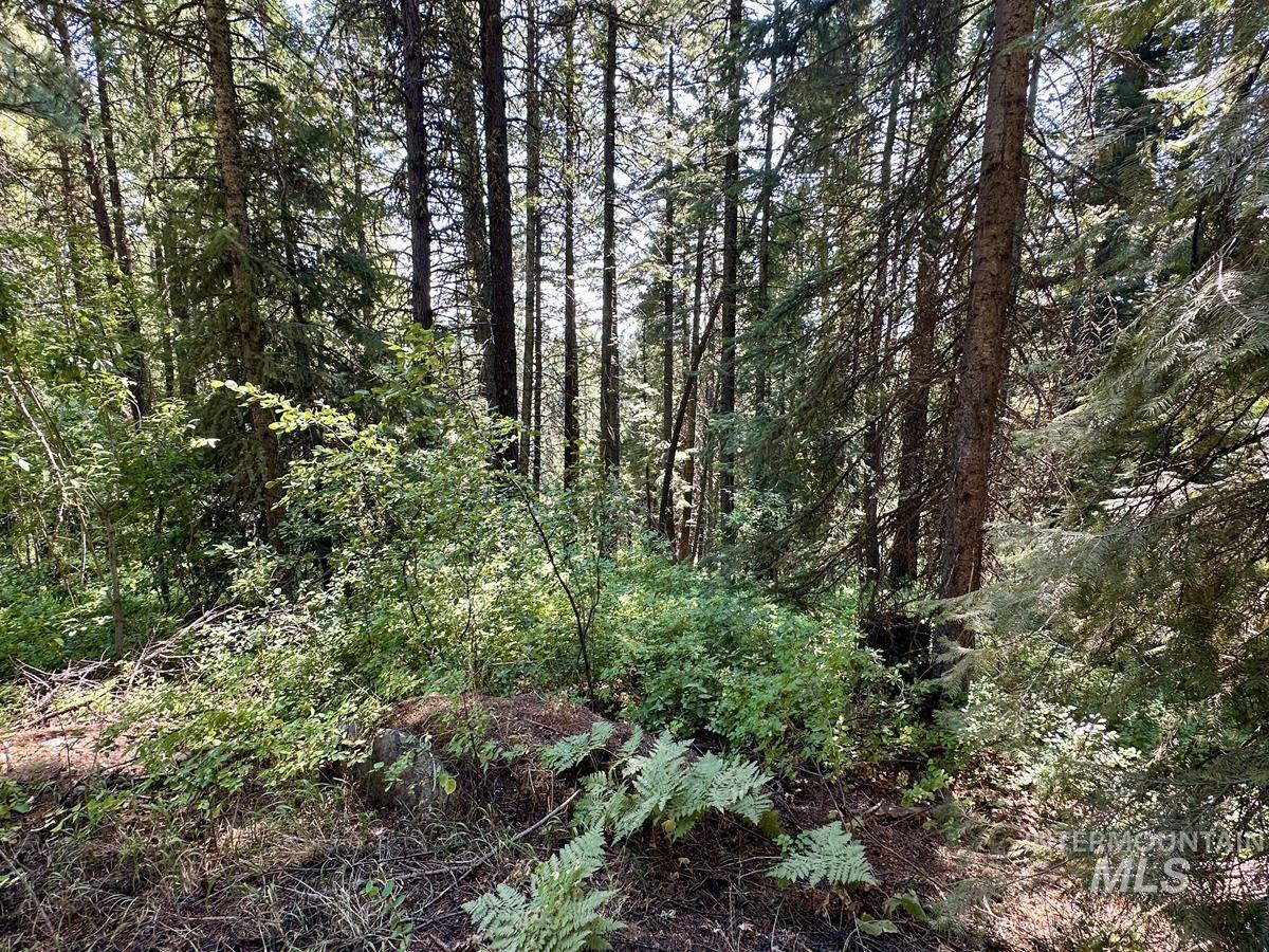 37 Arling Trail, Donnelly, Idaho 83615, Land For Sale, Price $109,900, 98991486