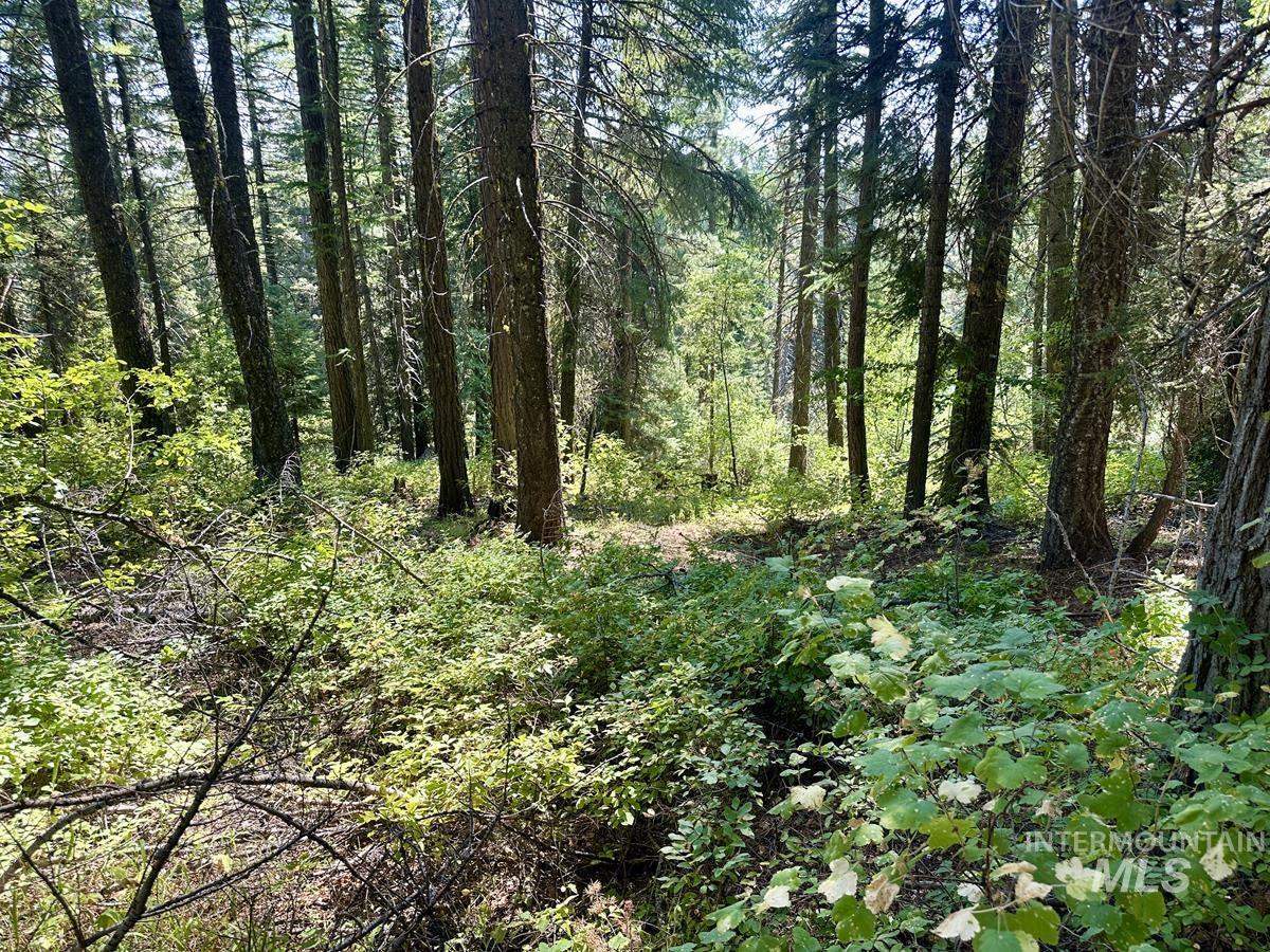 37 Arling Trail, Donnelly, Idaho 83615, Land For Sale, Price $109,900, 98991486
