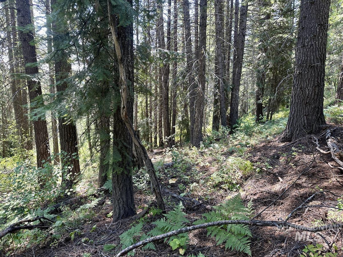 37 Arling Trail, Donnelly, Idaho 83615, Land For Sale, Price $109,900, 98991486