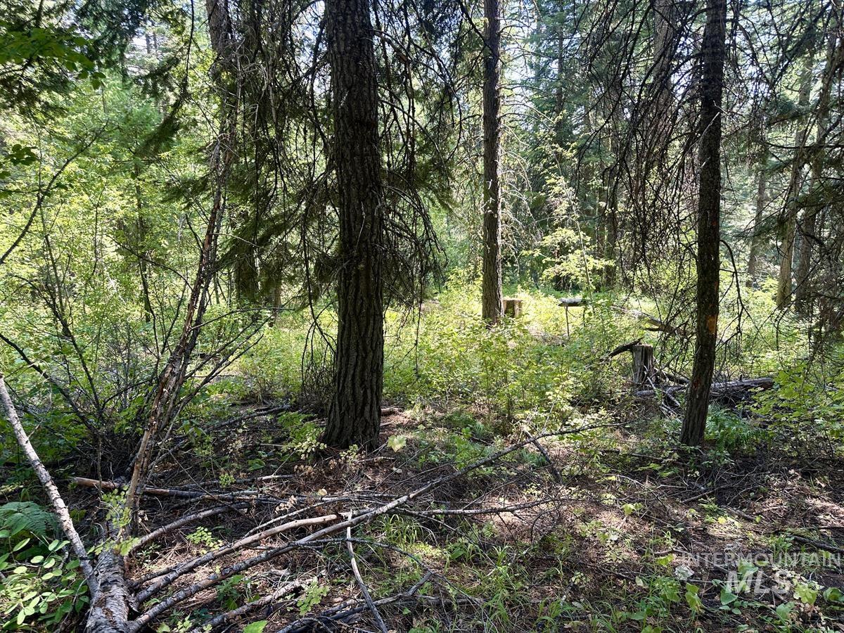 37 Arling Trail, Donnelly, Idaho 83615, Land For Sale, Price $109,900, 98991486