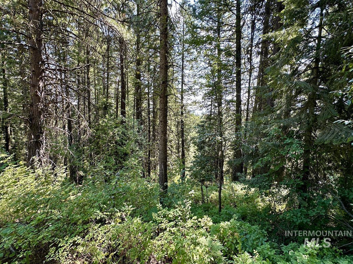 37 Arling Trail, Donnelly, Idaho 83615, Land For Sale, Price $109,900, 98991486