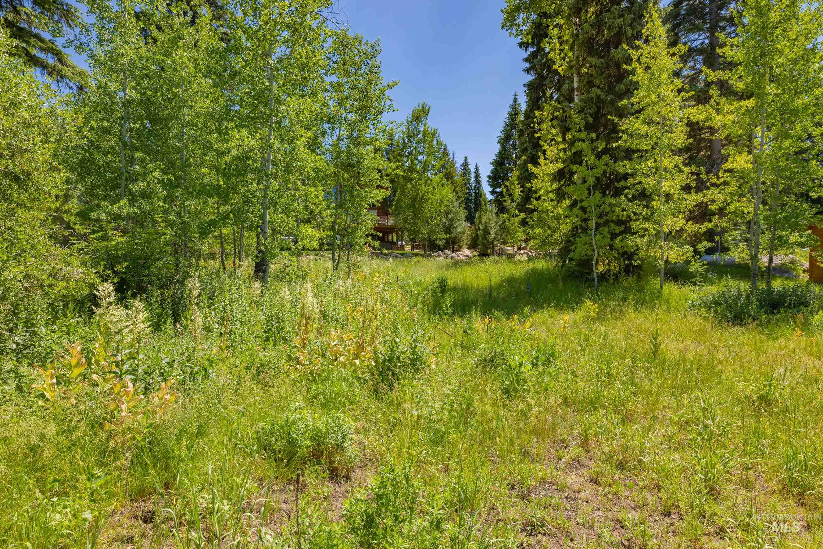 1340 Aspen Ridge Lane, McCall, Idaho 83638, Land For Sale, Price $275,000,MLS 98991490