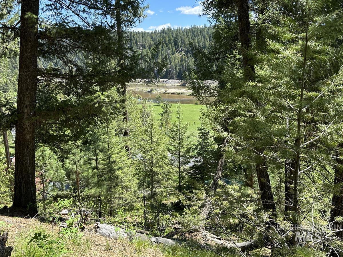 9810 Brian Way, Cascade, Idaho 83611, Land For Sale, Price $24,900,MLS 98991493