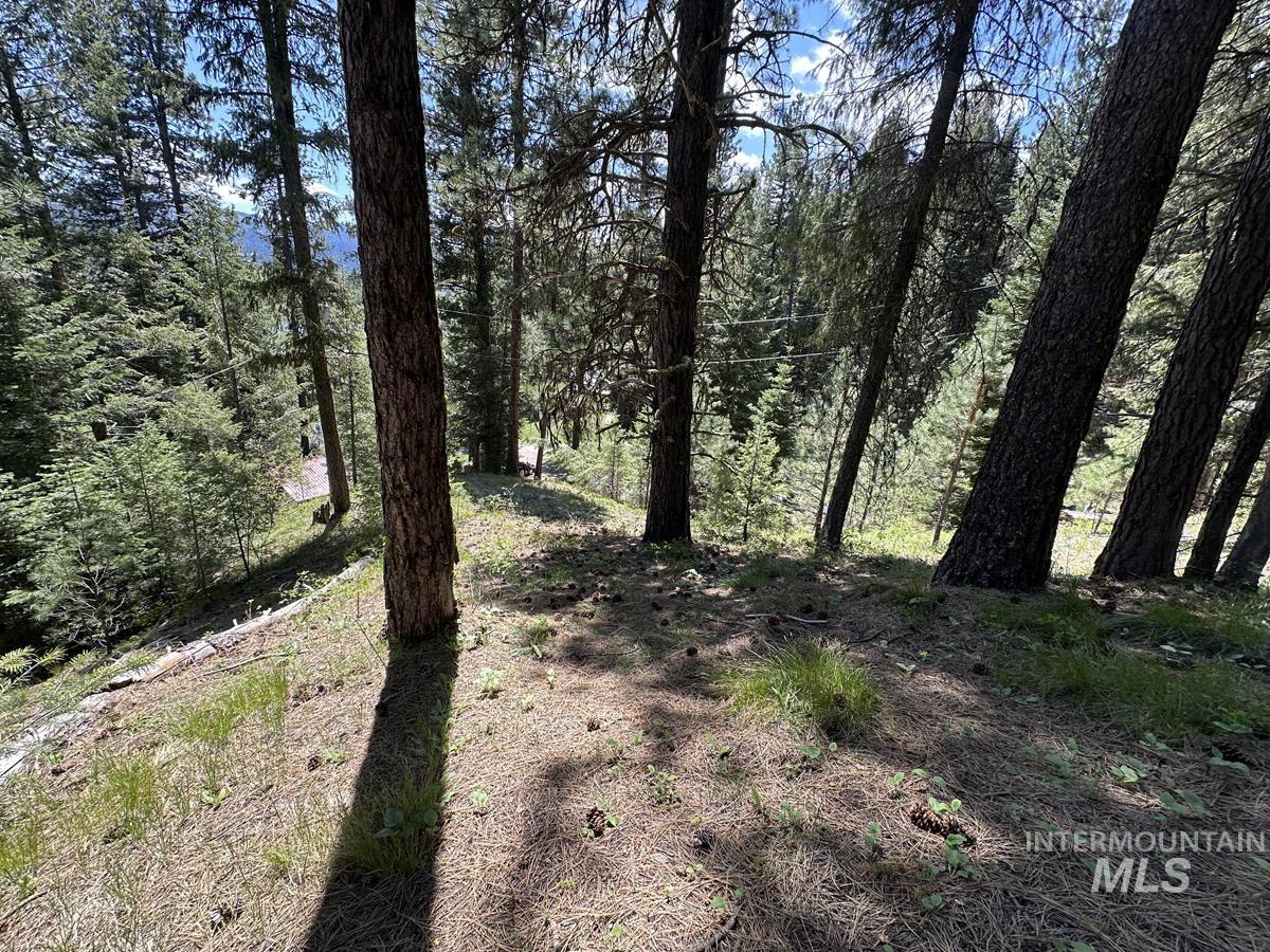9810 Brian Way, Cascade, Idaho 83611, Land For Sale, Price $24,900,MLS 98991493