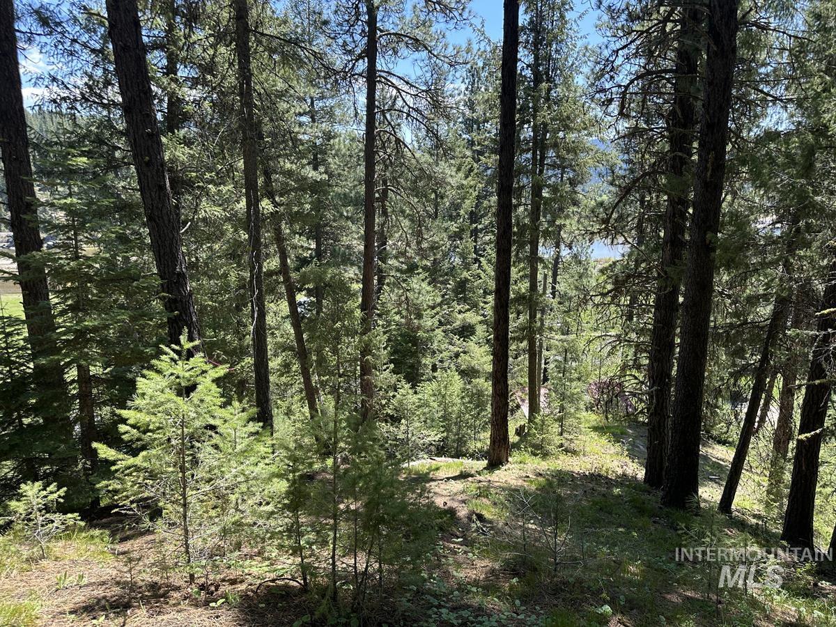 9810 Brian Way, Cascade, Idaho 83611, Land For Sale, Price $24,900,MLS 98991493