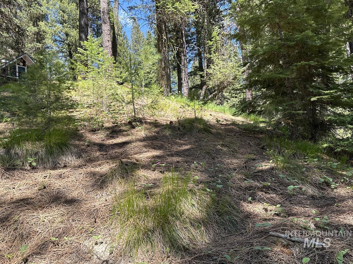 9810 Brian Way, Cascade, Idaho 83611, Land For Sale, Price $24,900,MLS 98991493